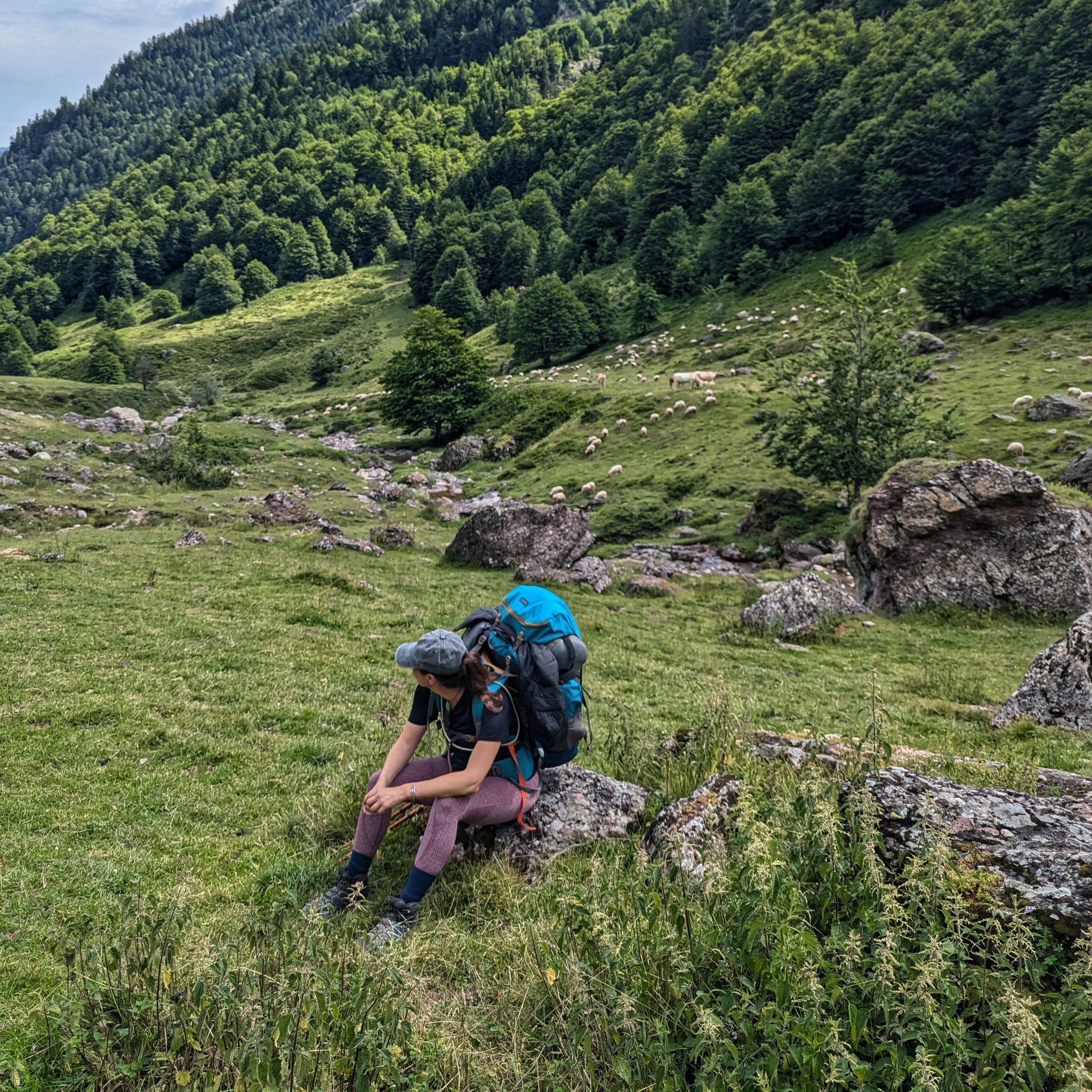 PXL 20240713 093032895