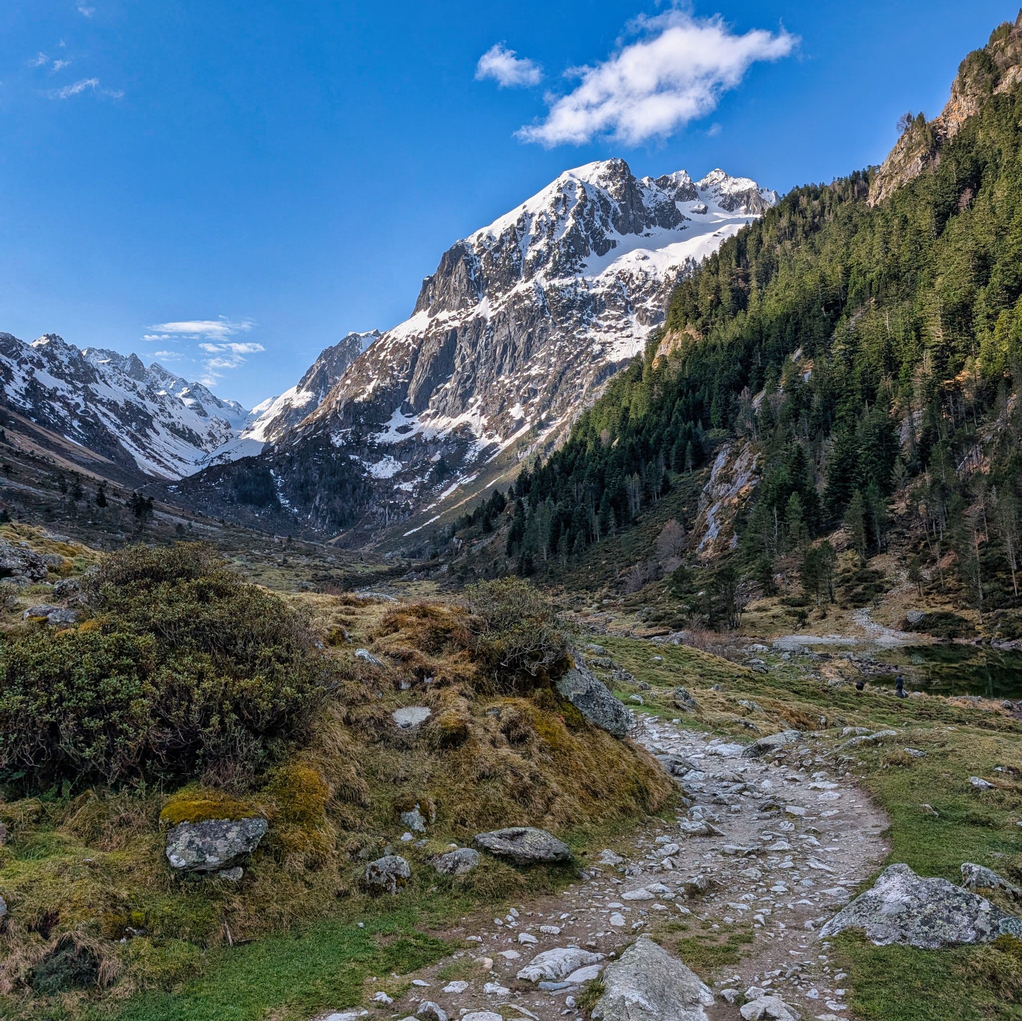 PXL 20250406 081256713