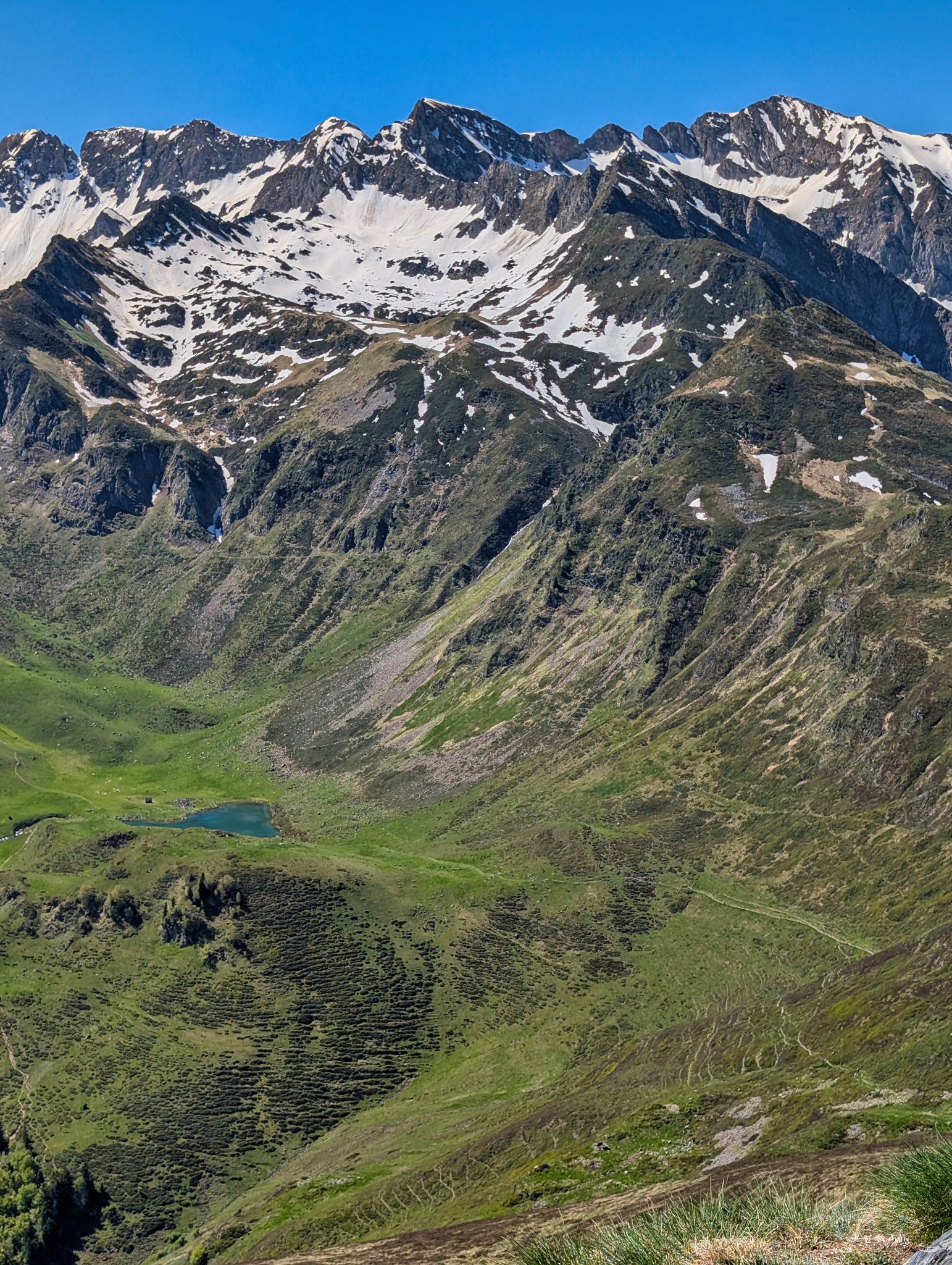 PXL 20250529 091046571