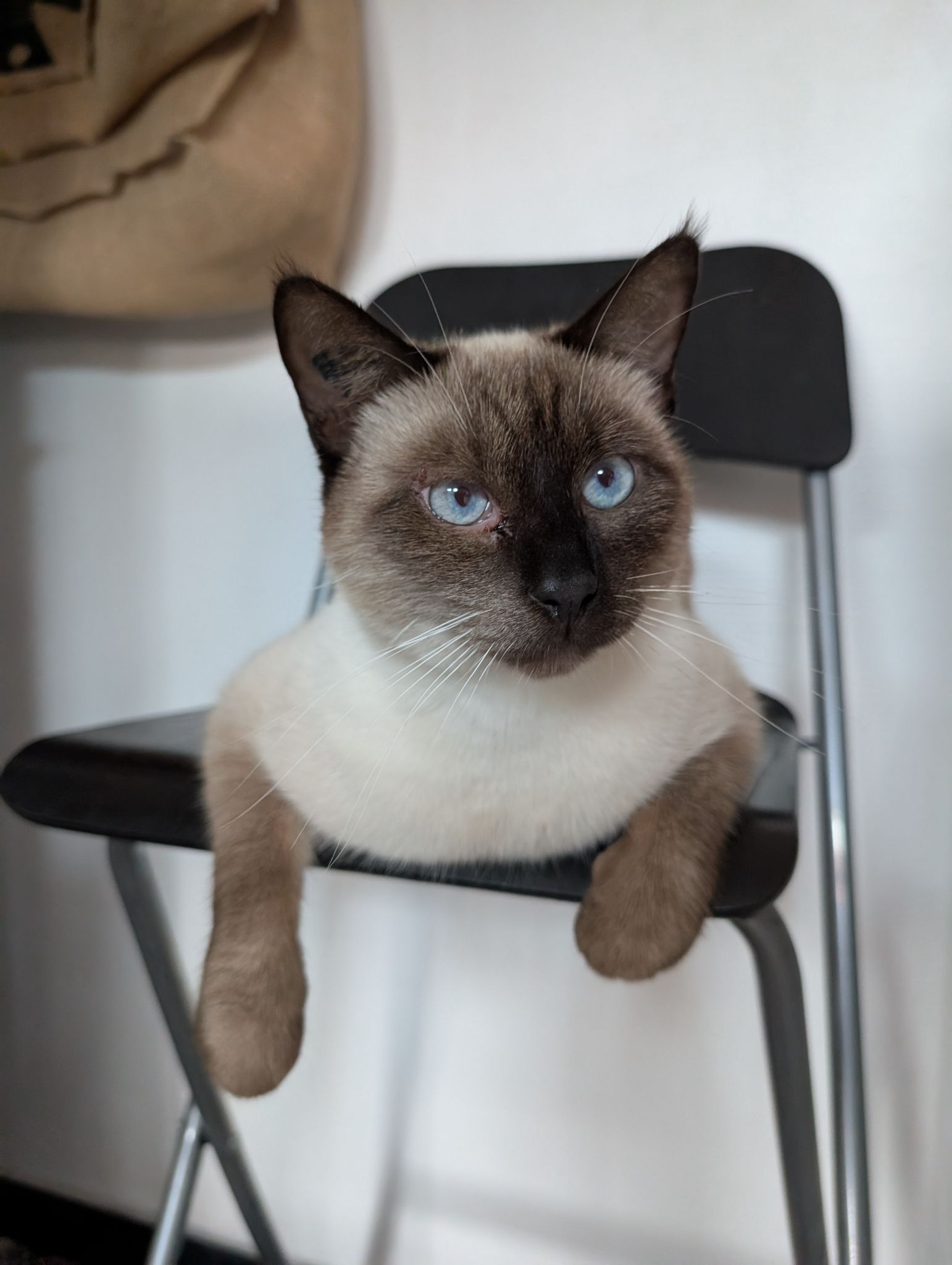 PXL 20251023 114659348