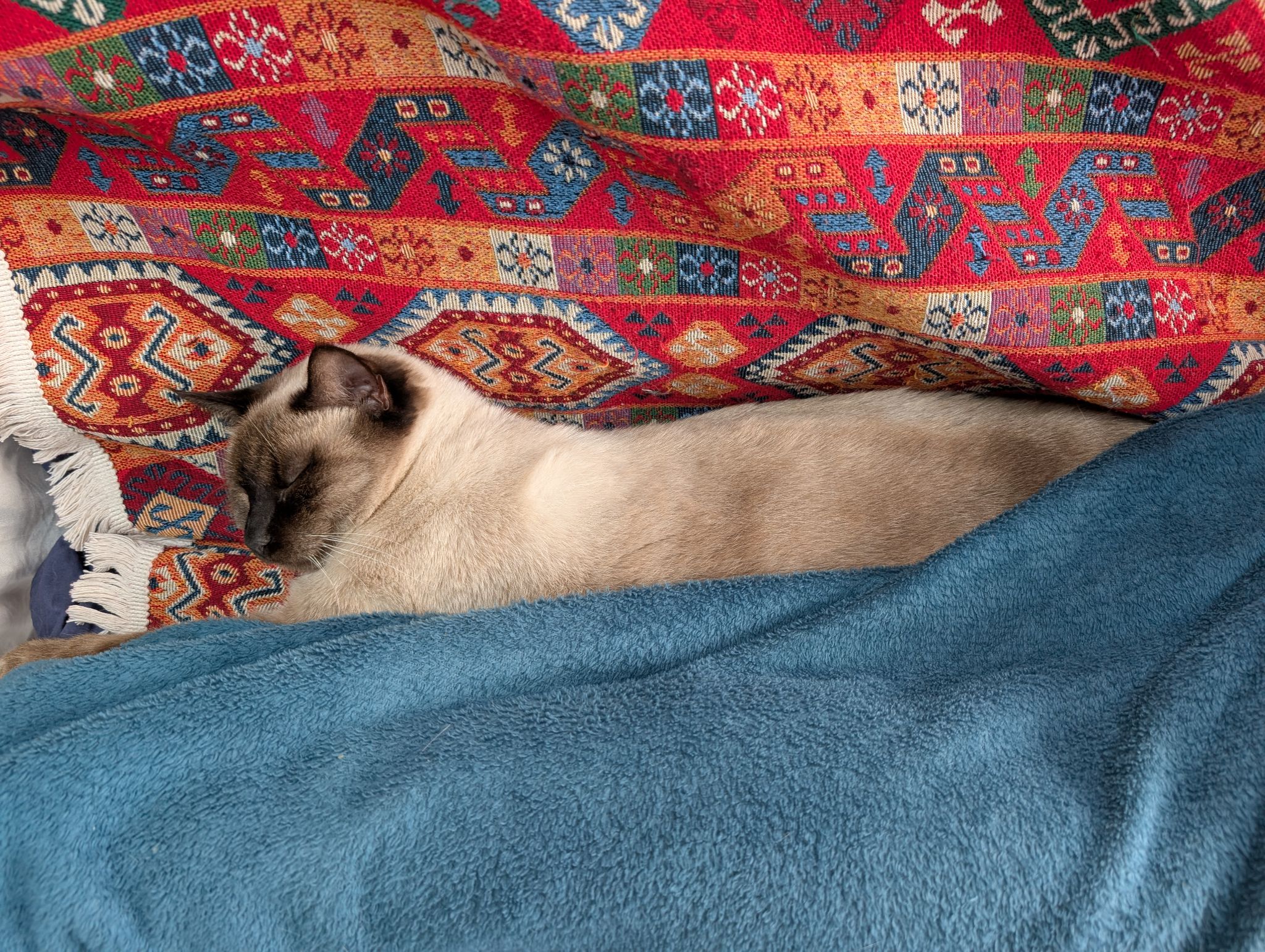 PXL 20251123 133149633