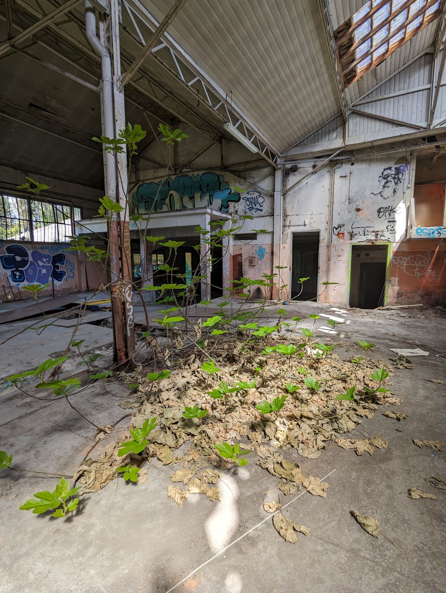 PXL 20240408 111057483