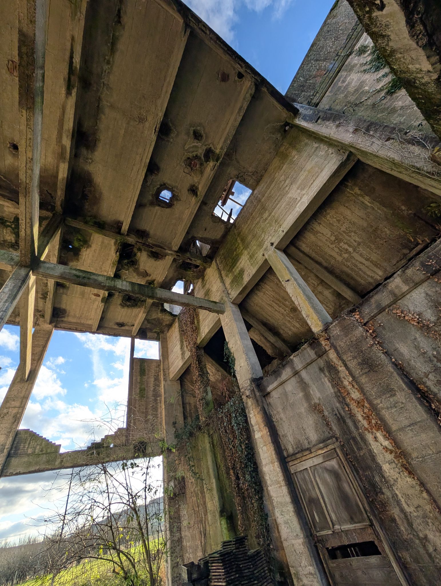 PXL 20251212 143133986