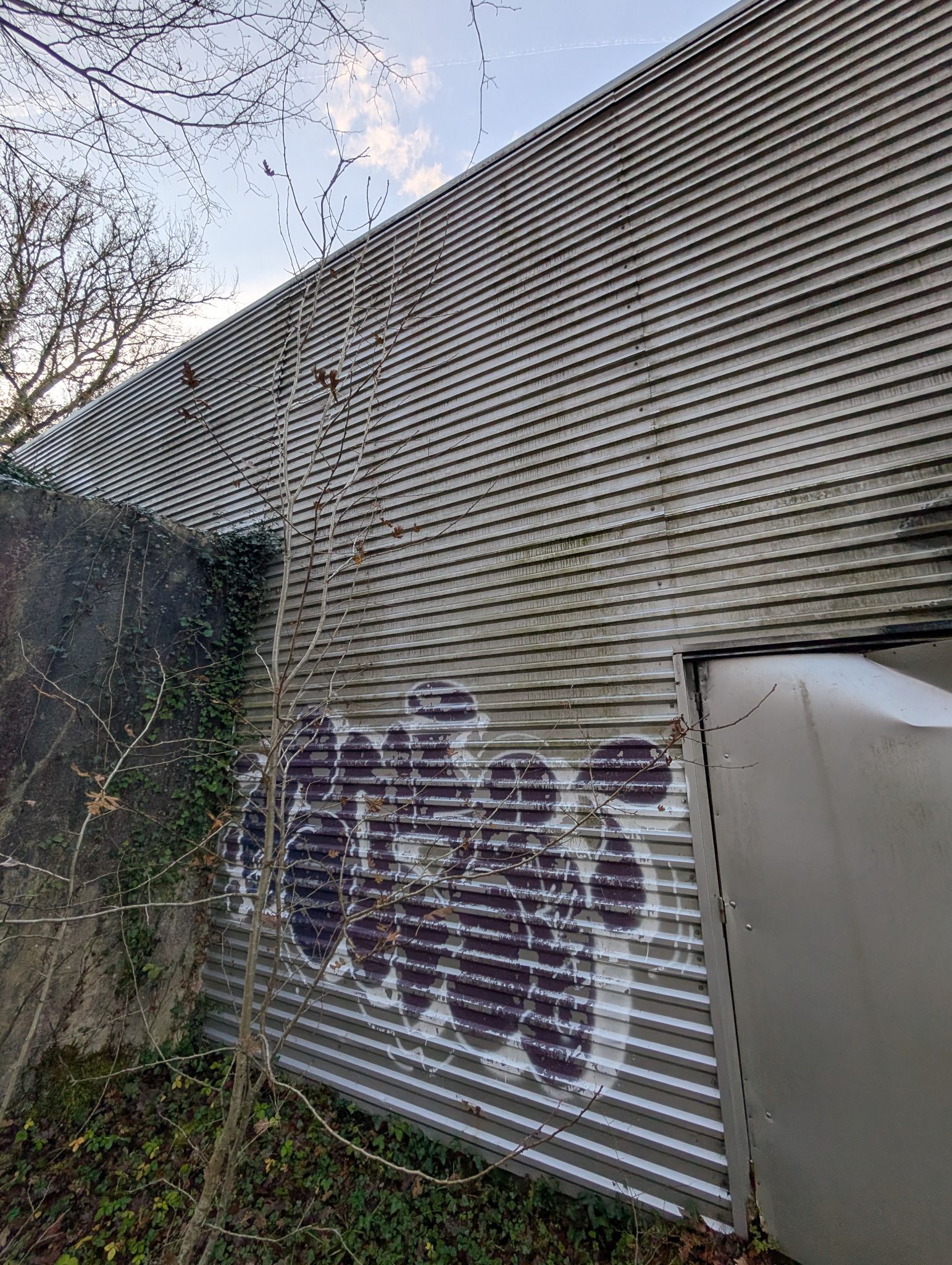 PXL 20251212 151243131