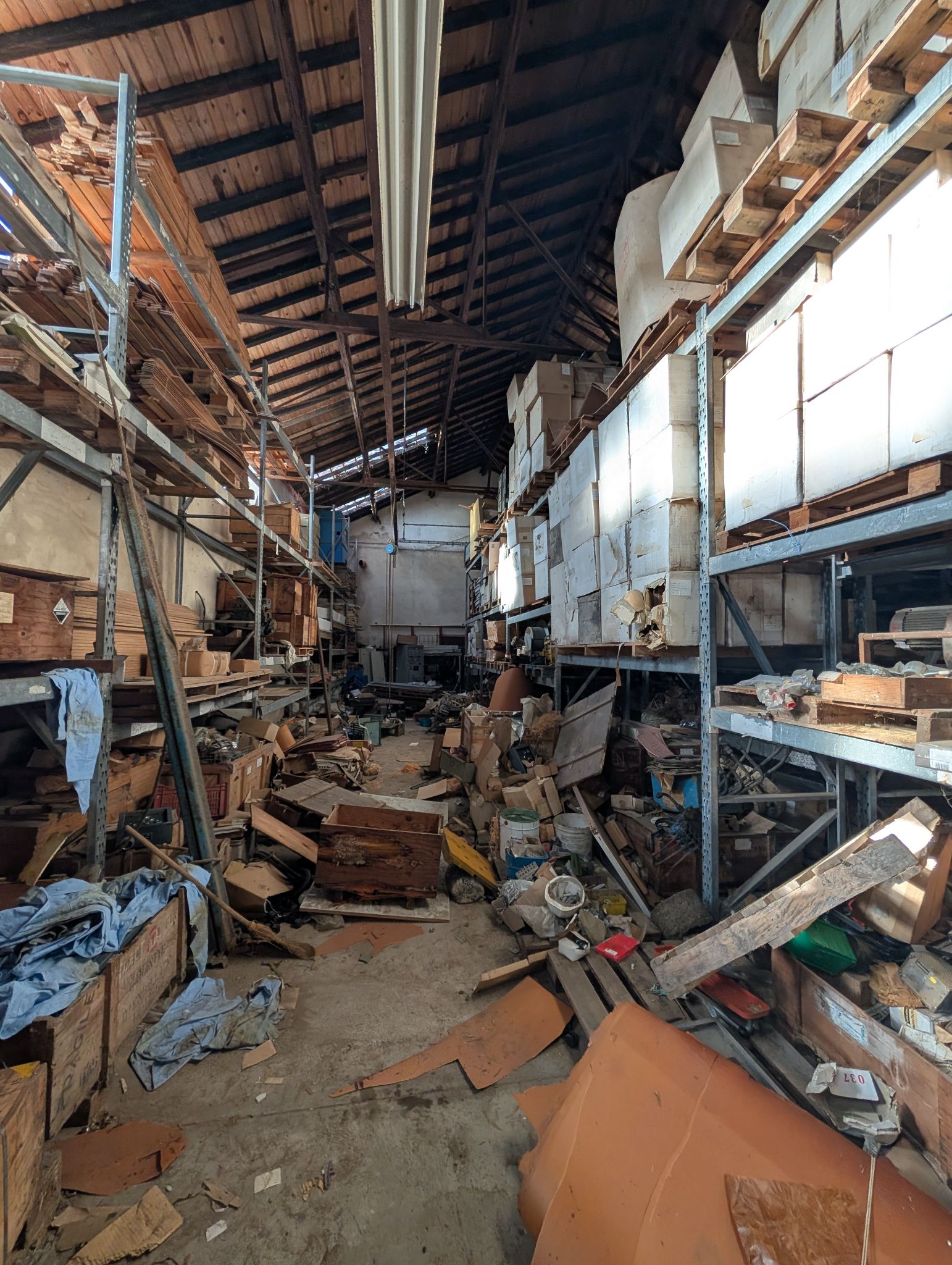 PXL 20251212 131140781