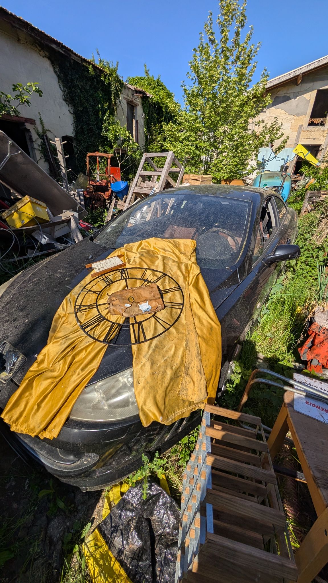 PXL 20260419 150259761