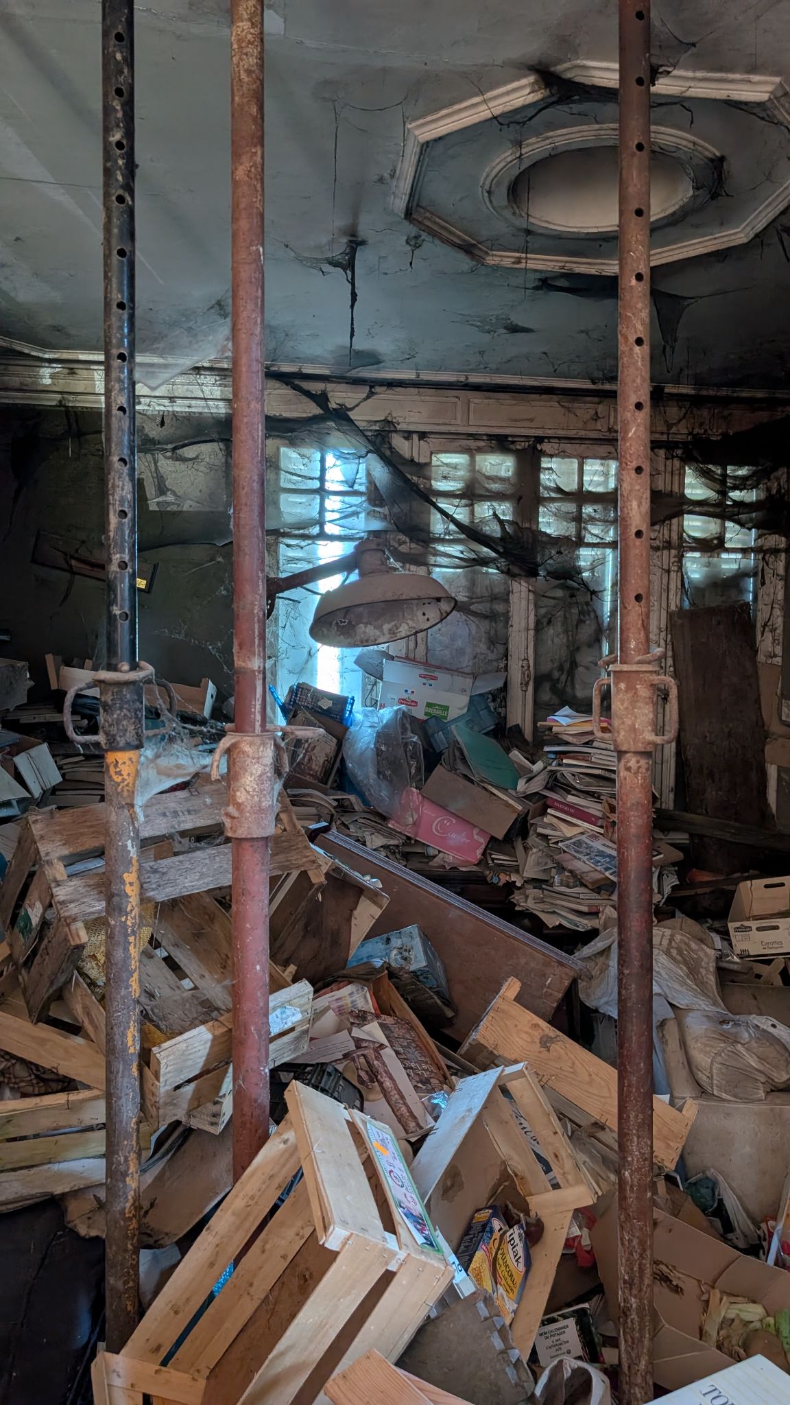 PXL 20260419 150613940