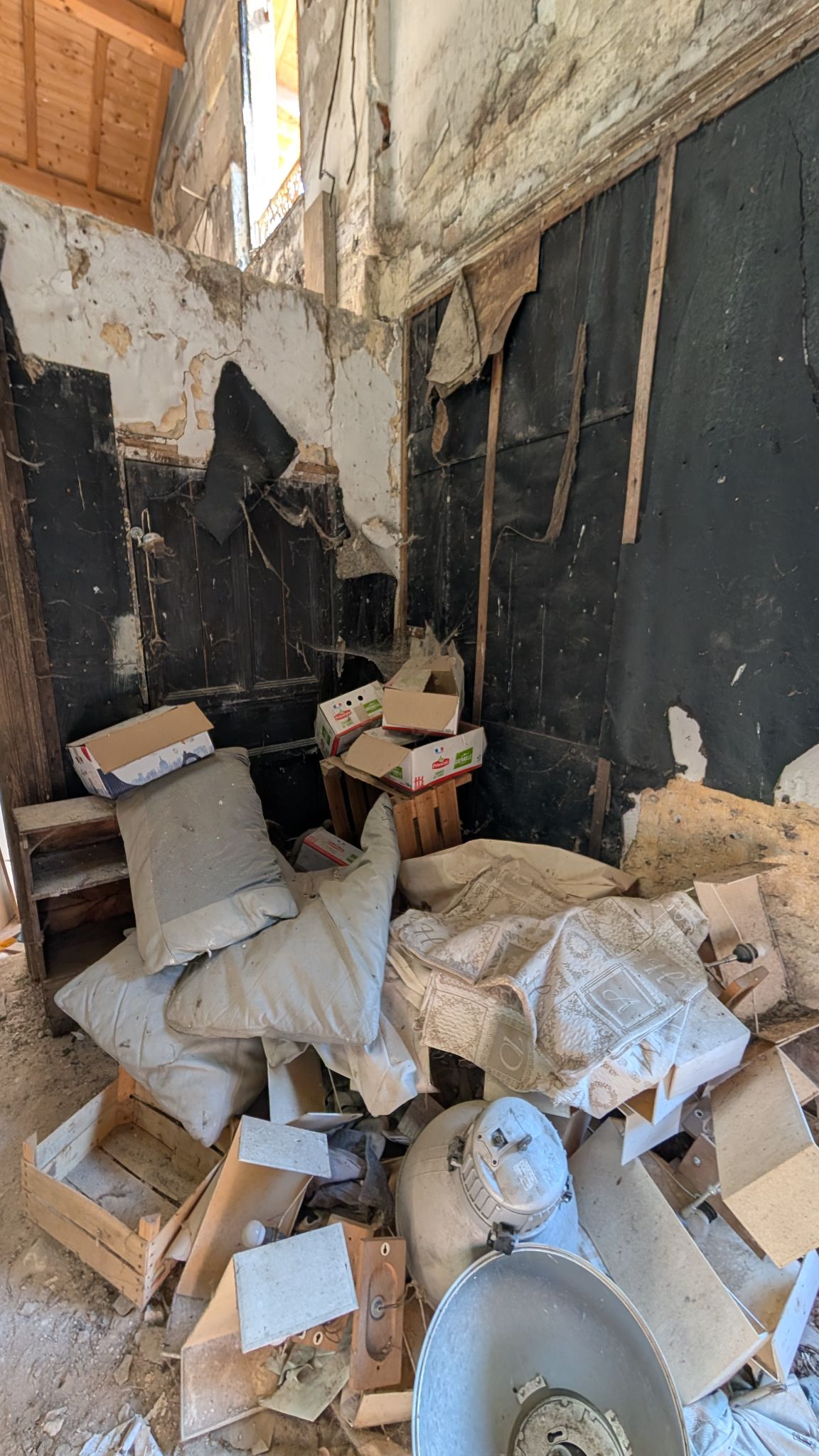 PXL 20260419 150703978