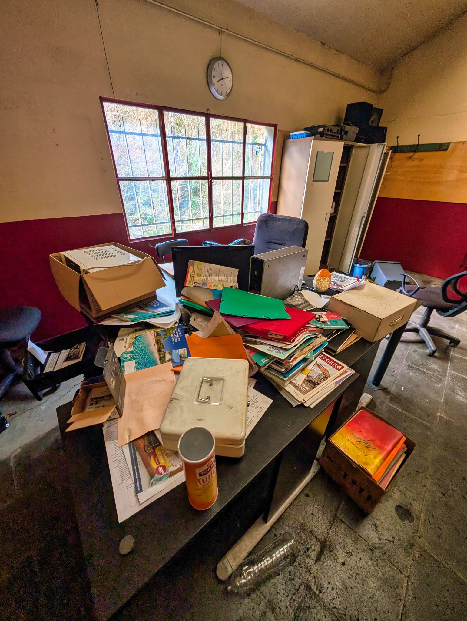 PXL 20260310 133004900