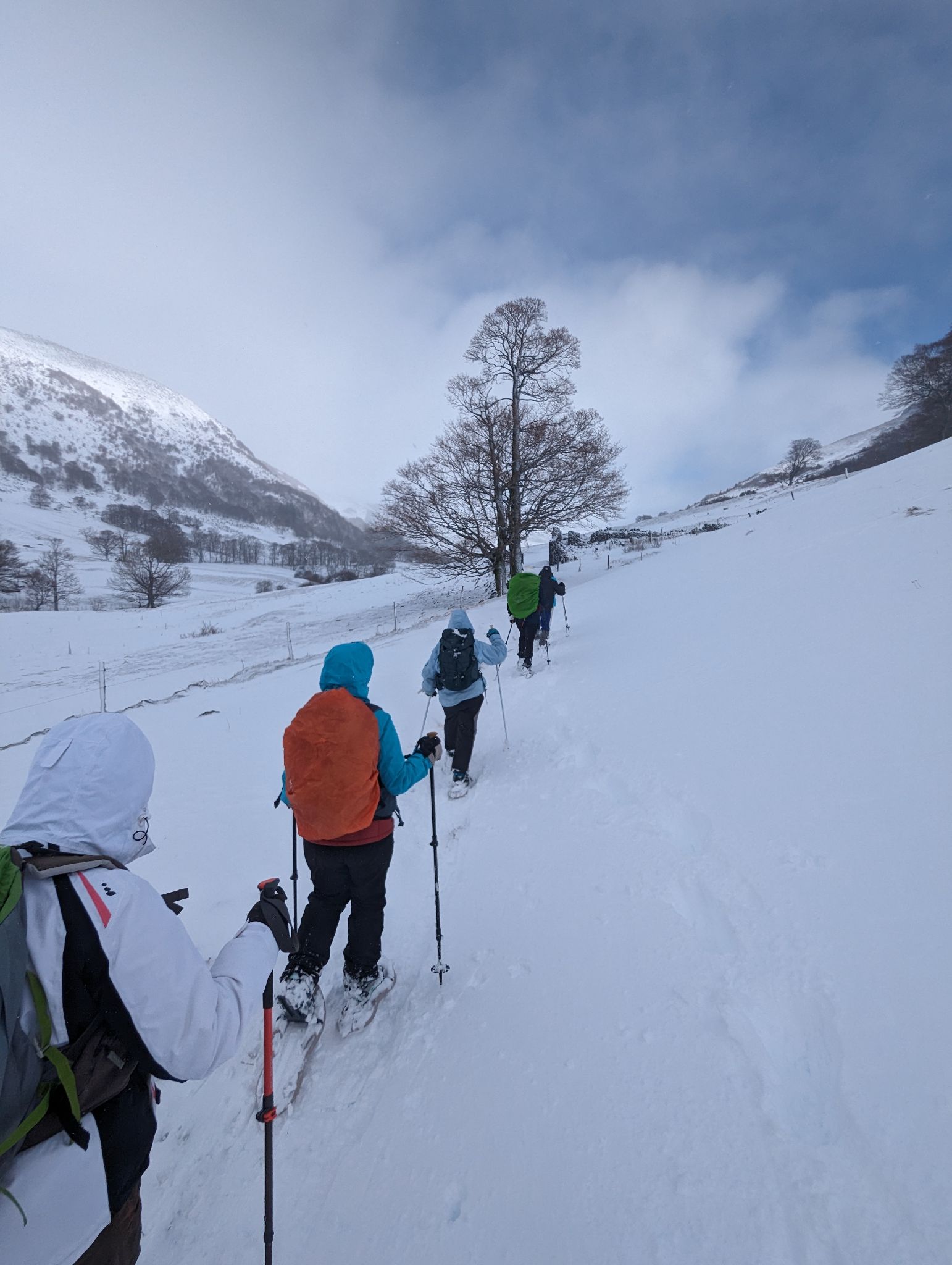 PXL 20240224 103404360