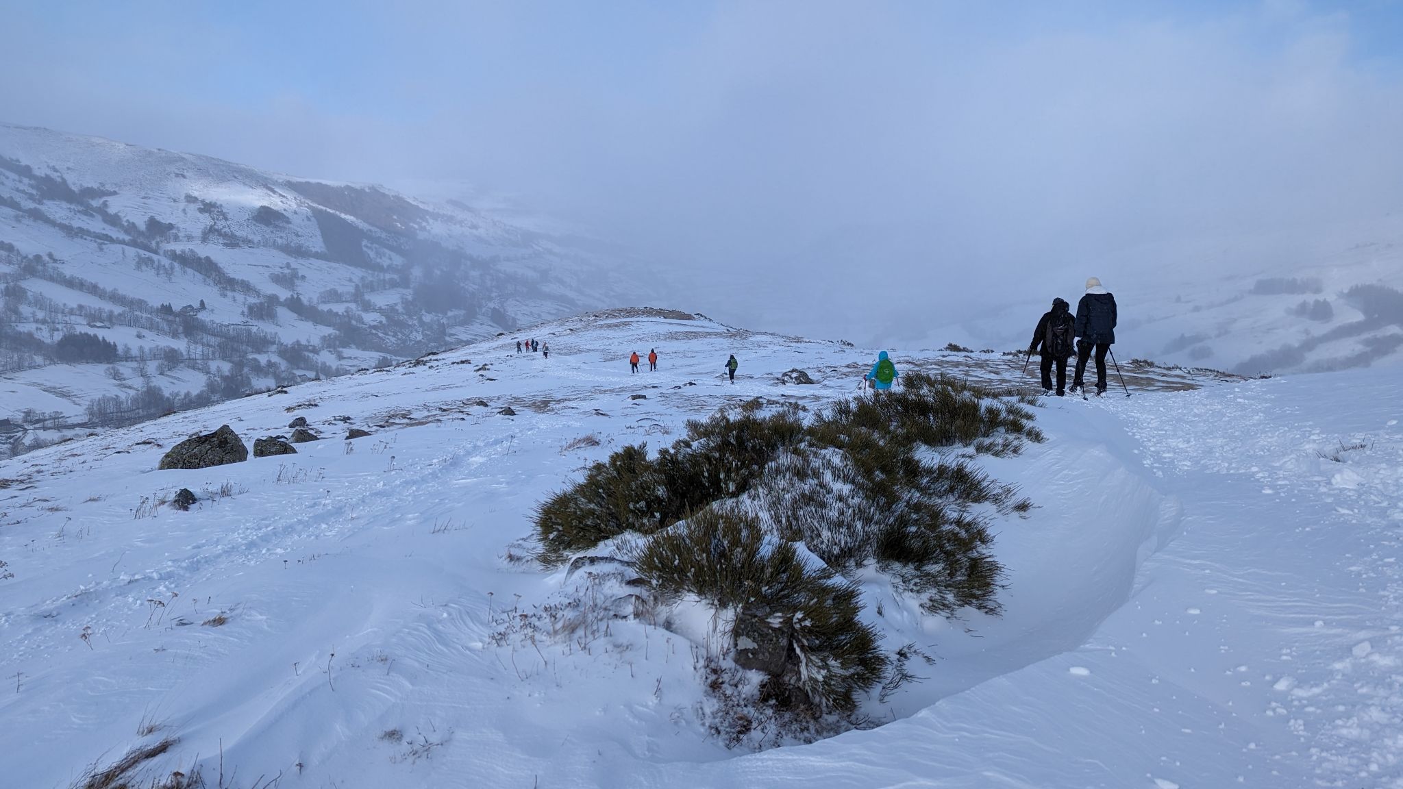 PXL 20240224 152803491