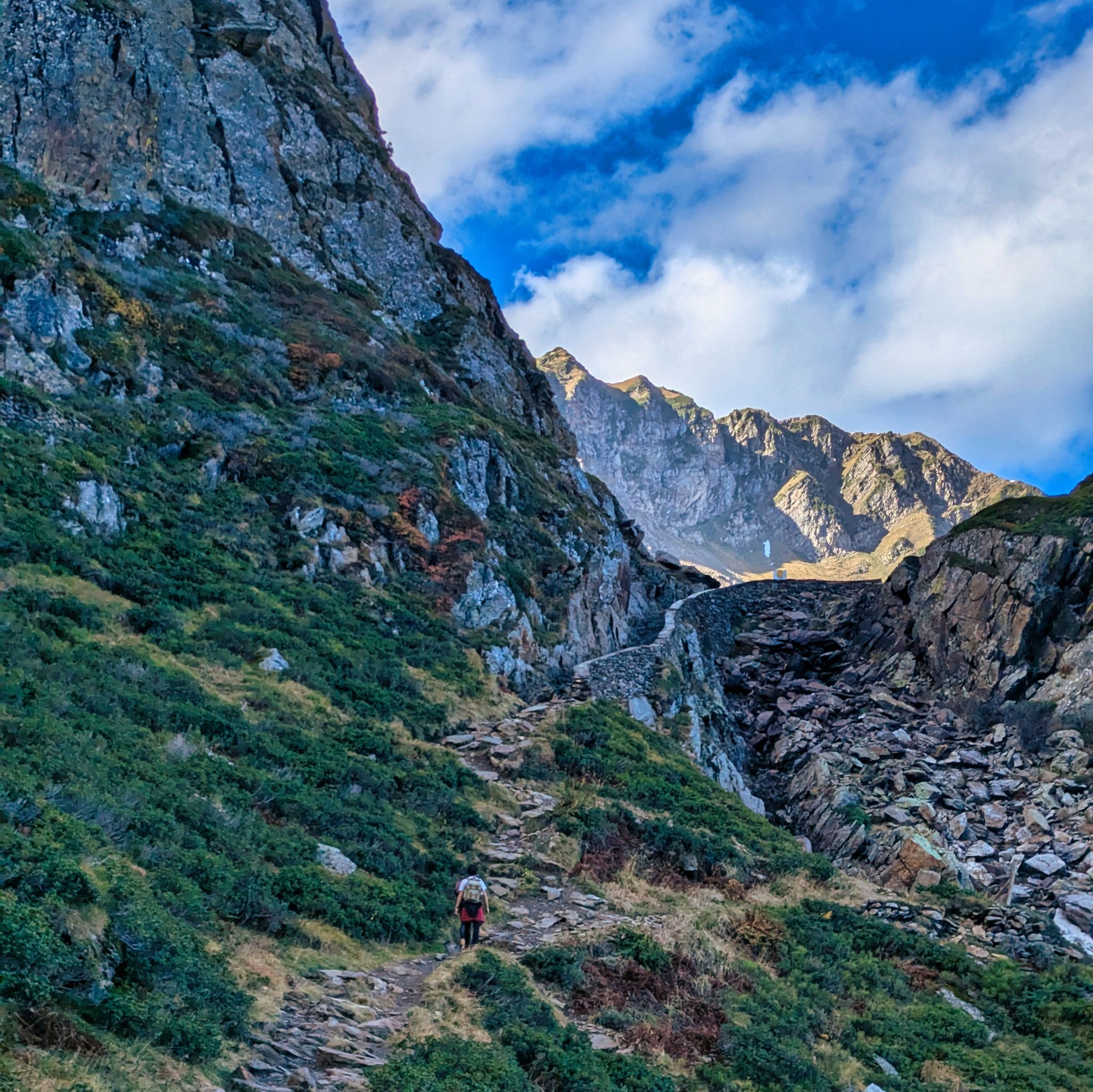 PXL 20241031 103410365