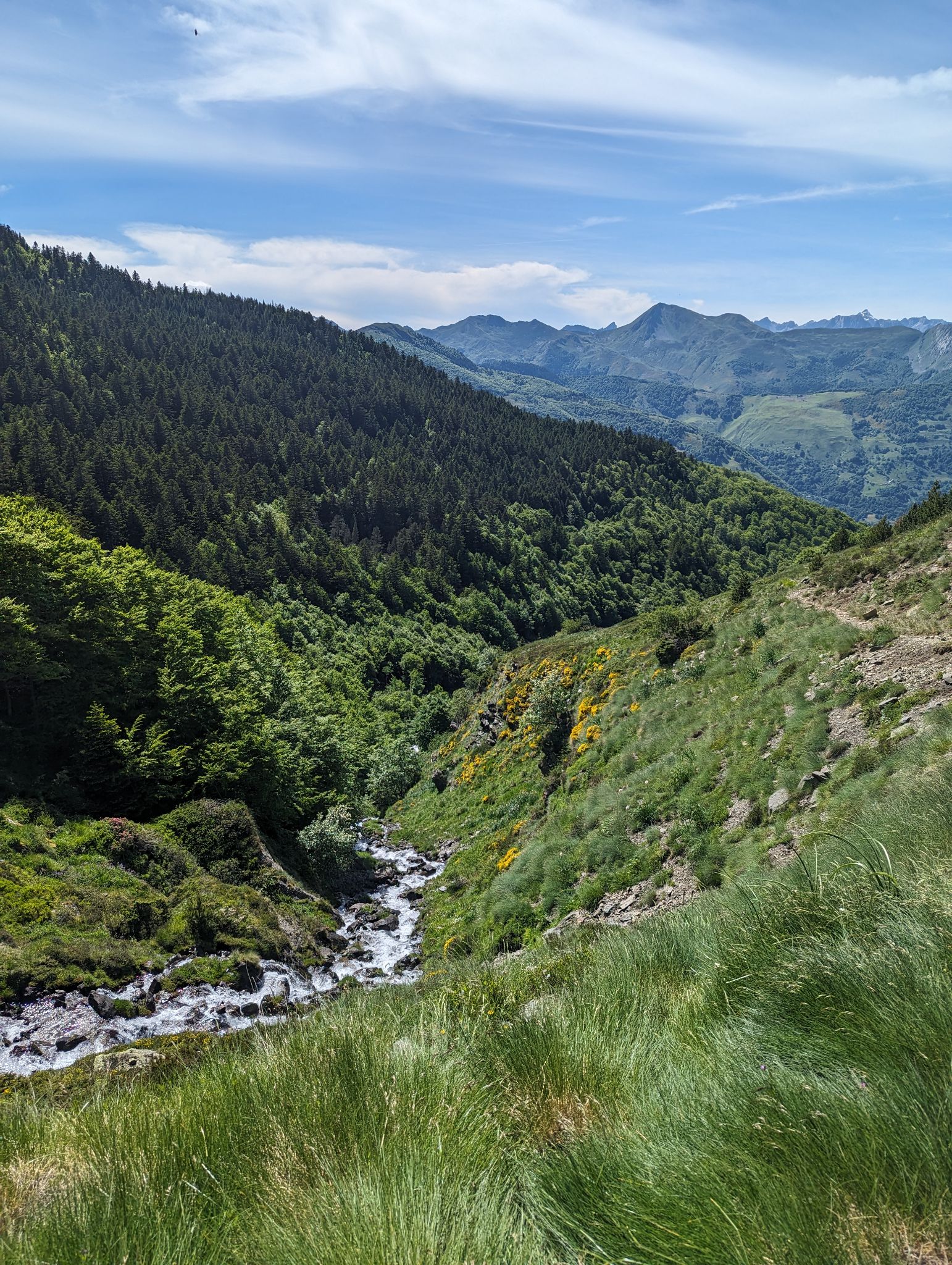 PXL 20240613 143947699