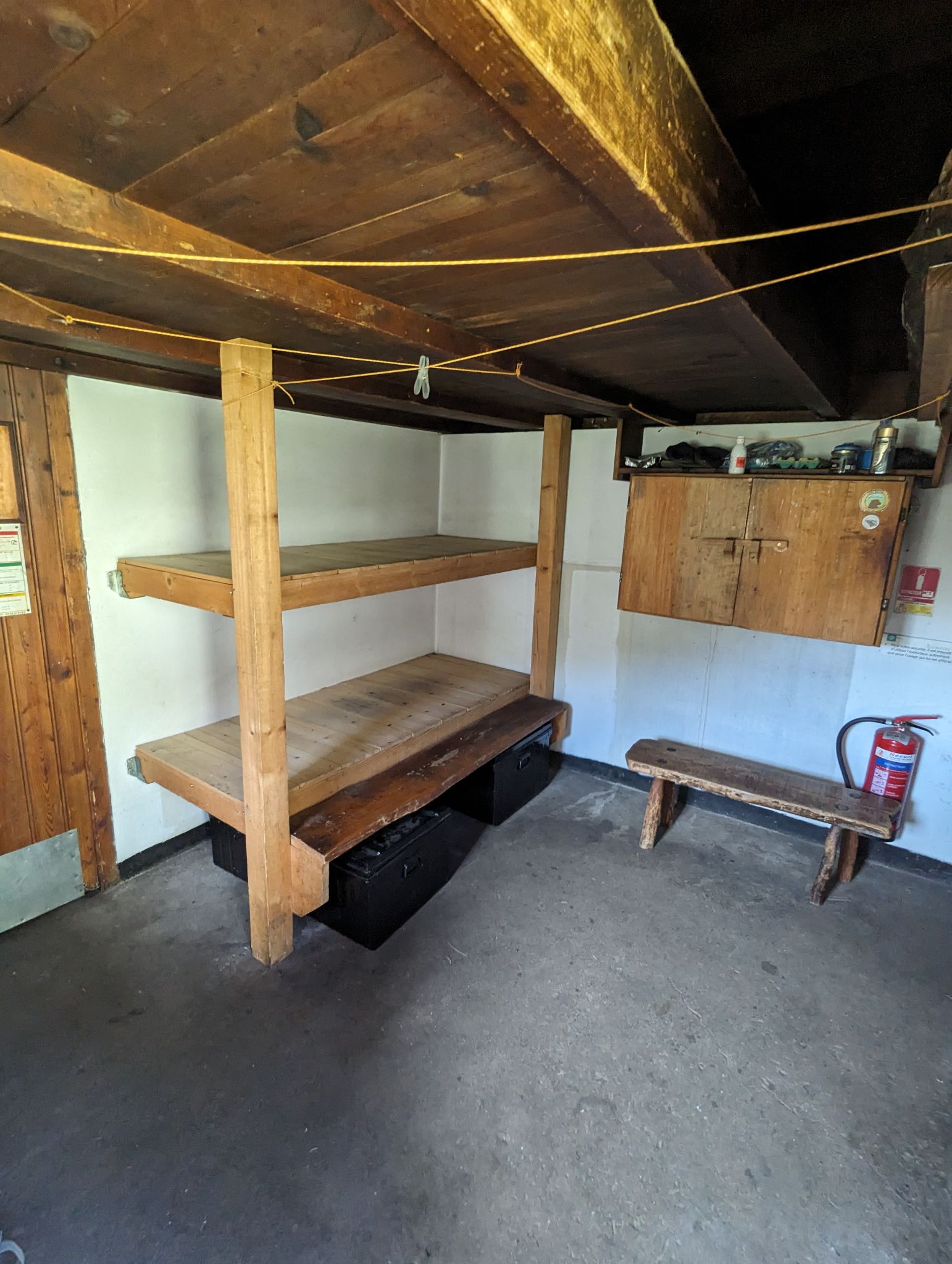 PXL 20240613 145633569