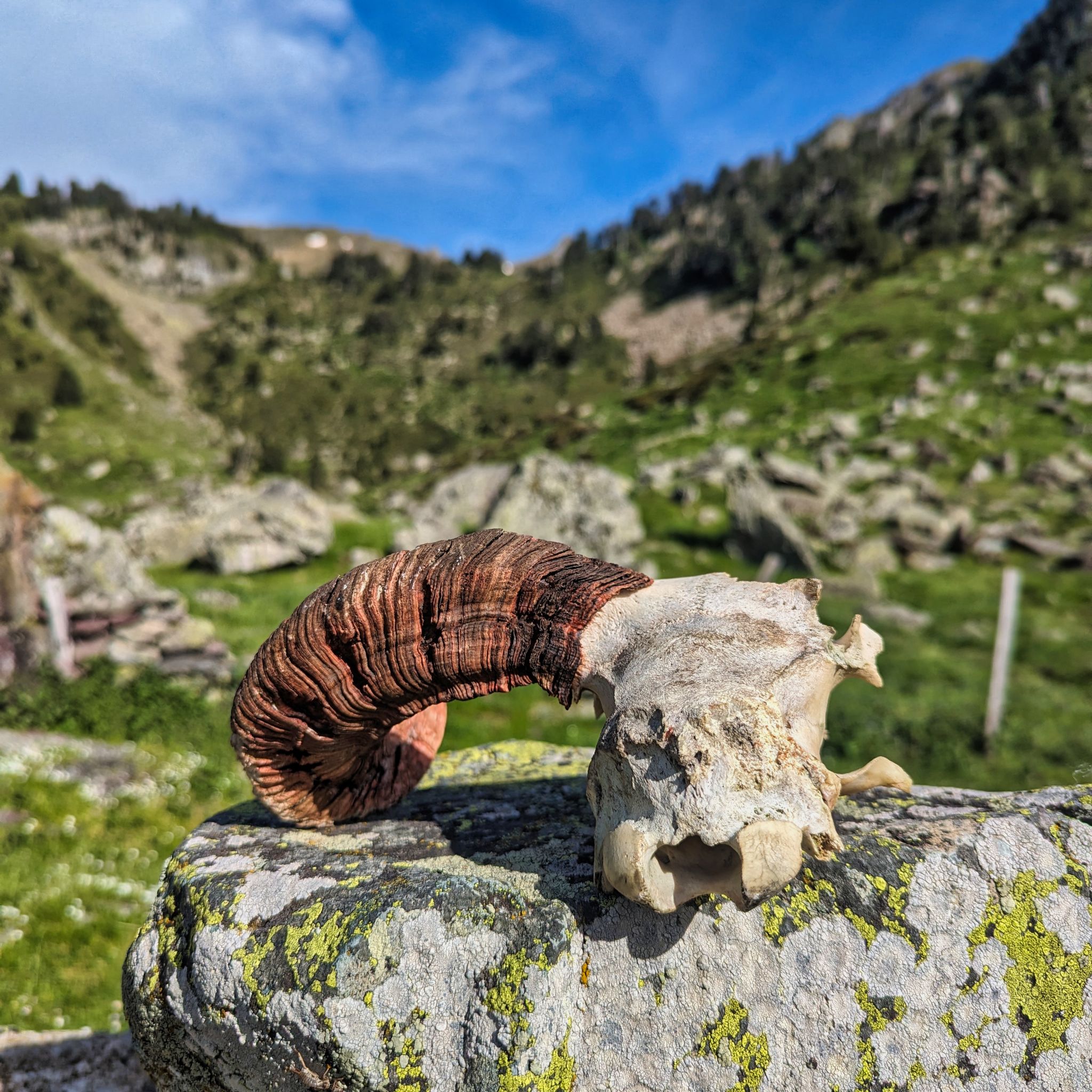 PXL 20240613 163301678