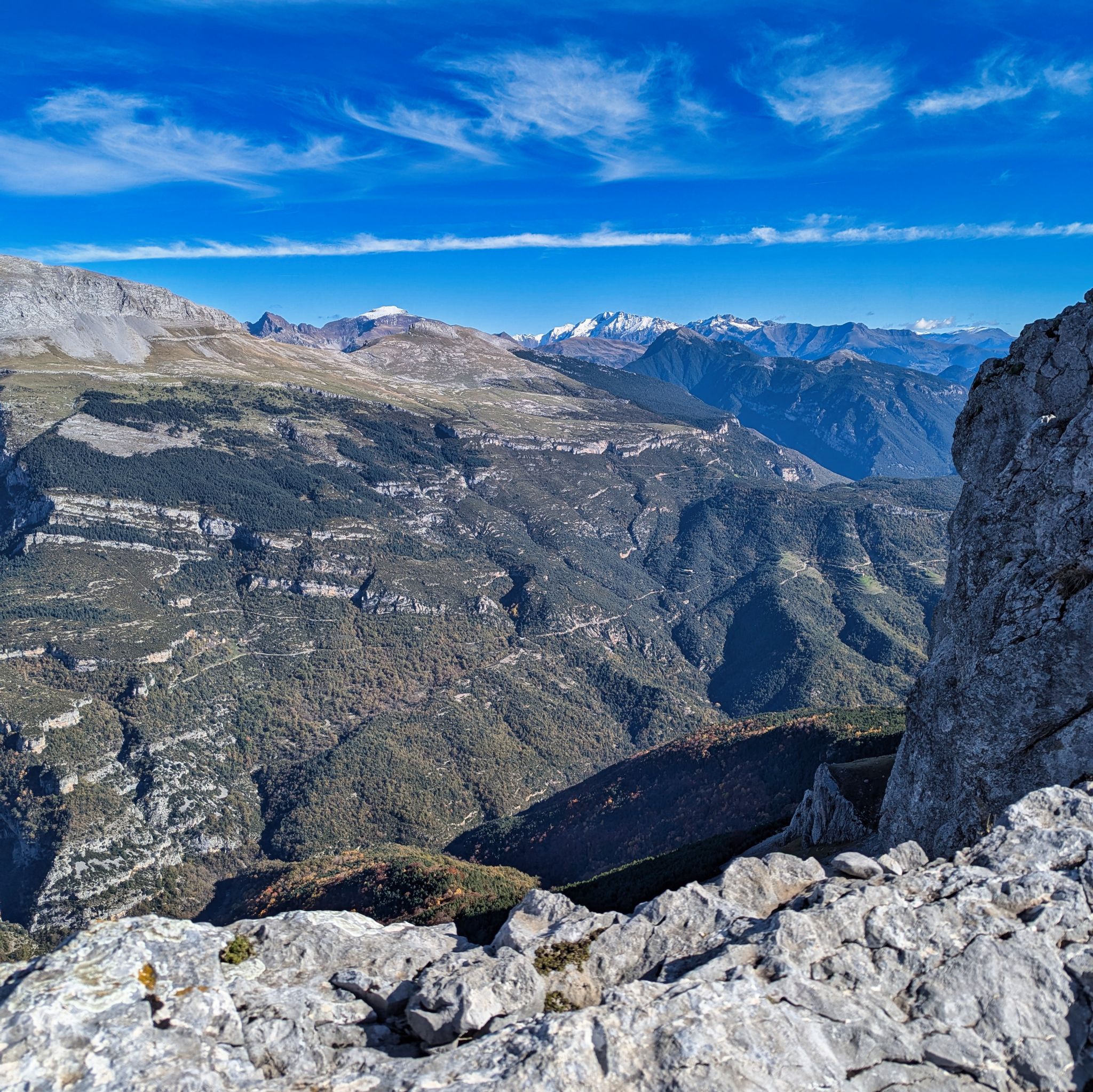 PXL 20241110 110134480