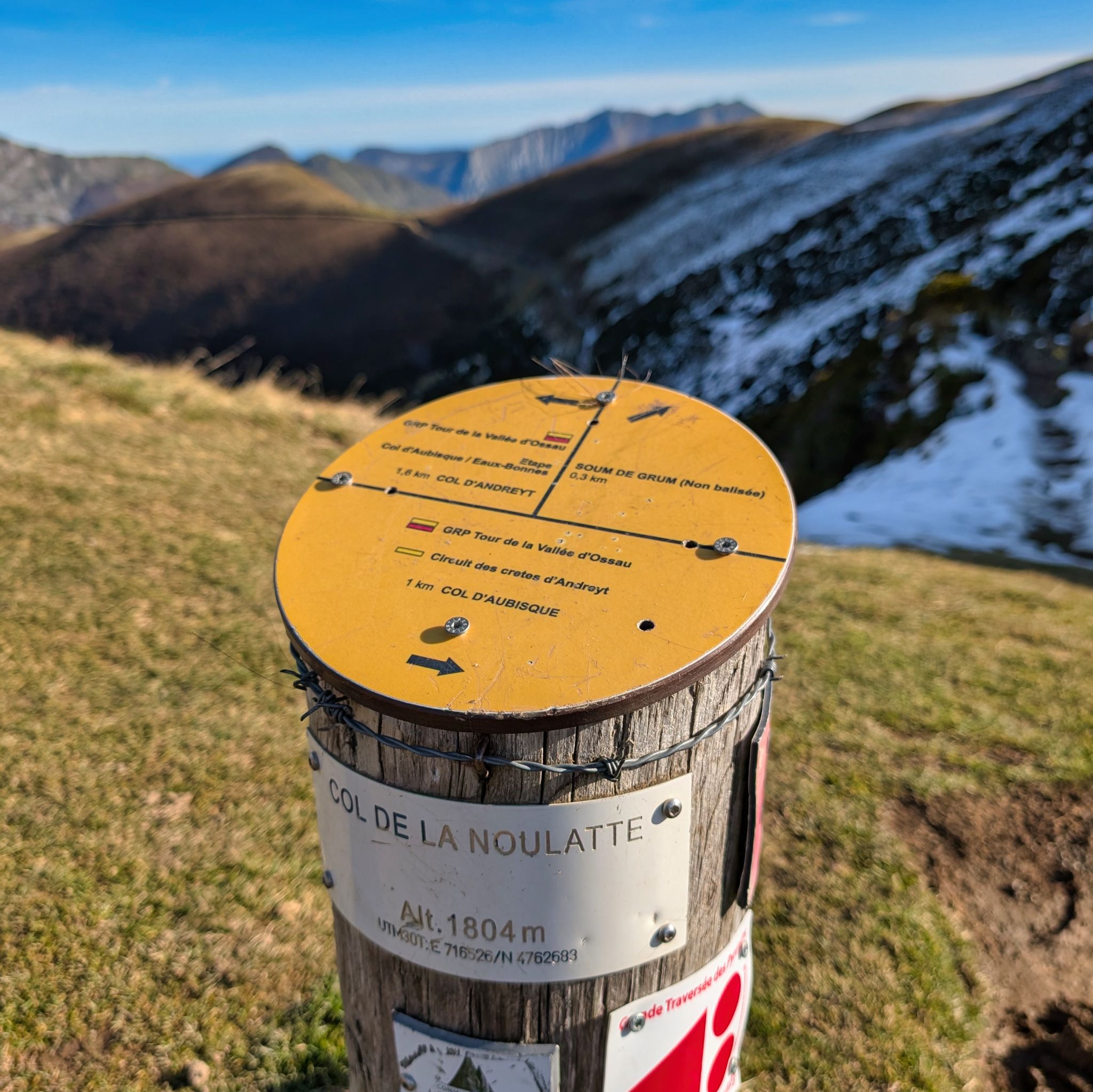 PXL 20251111 093300018