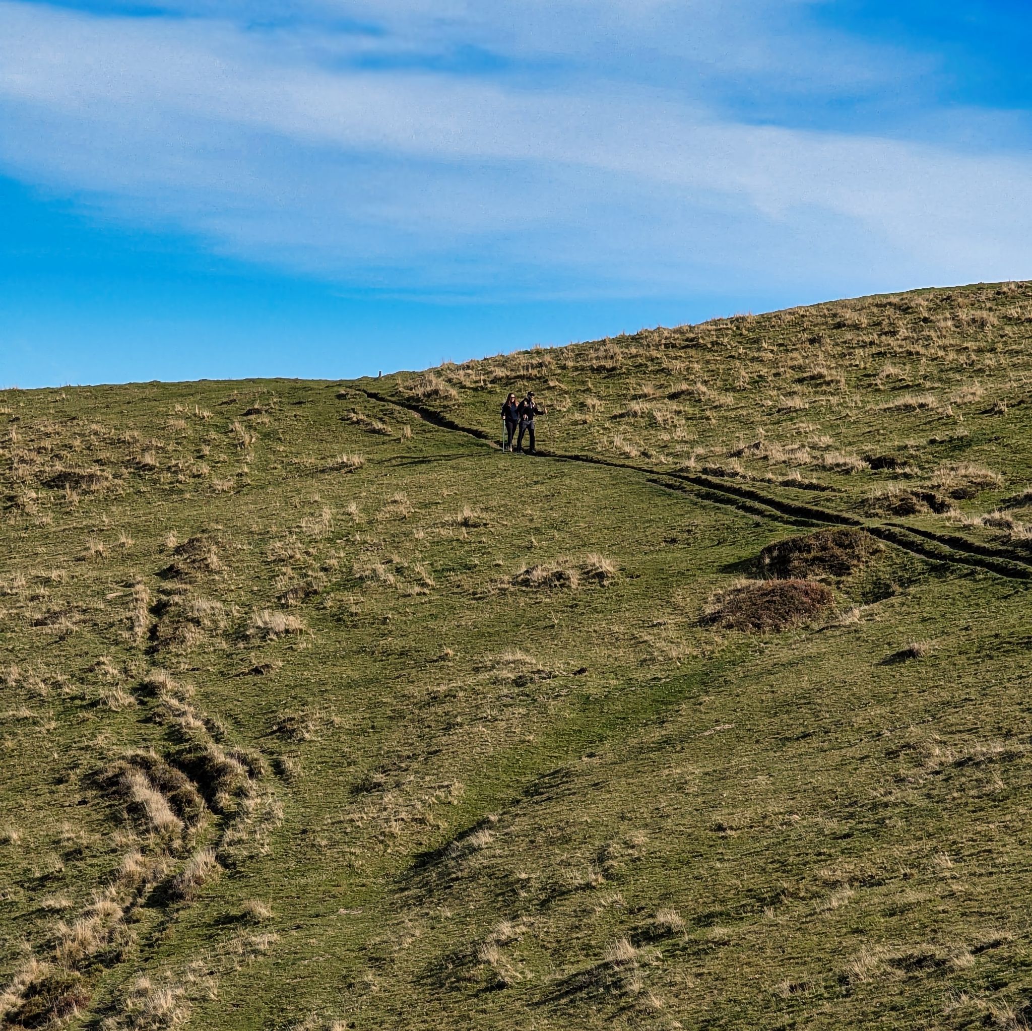 PXL 20251111 104427392