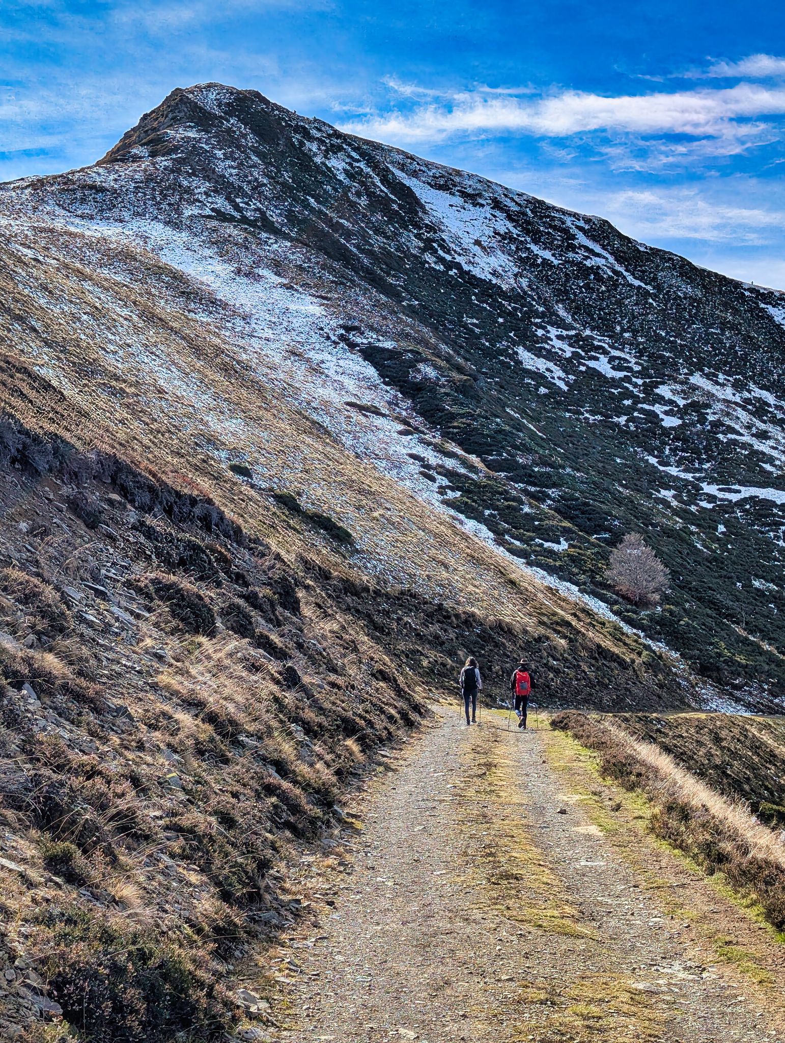 PXL 20251111 114127357