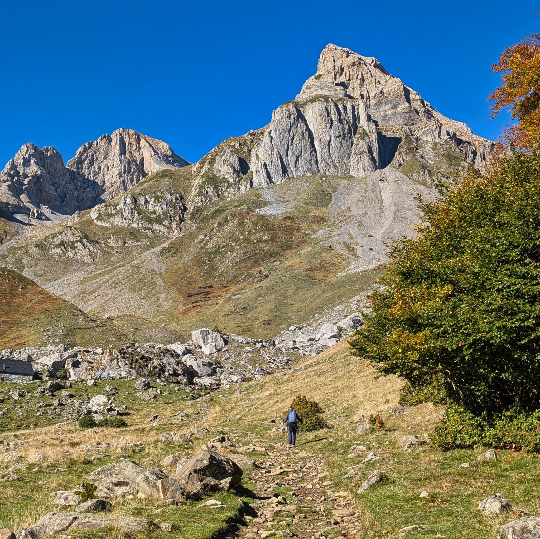 PXL 20251006 083656168