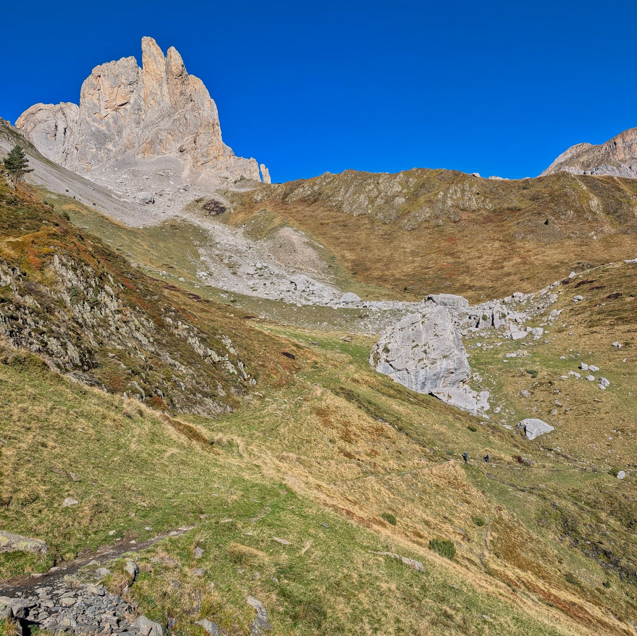 PXL 20251006 090142098