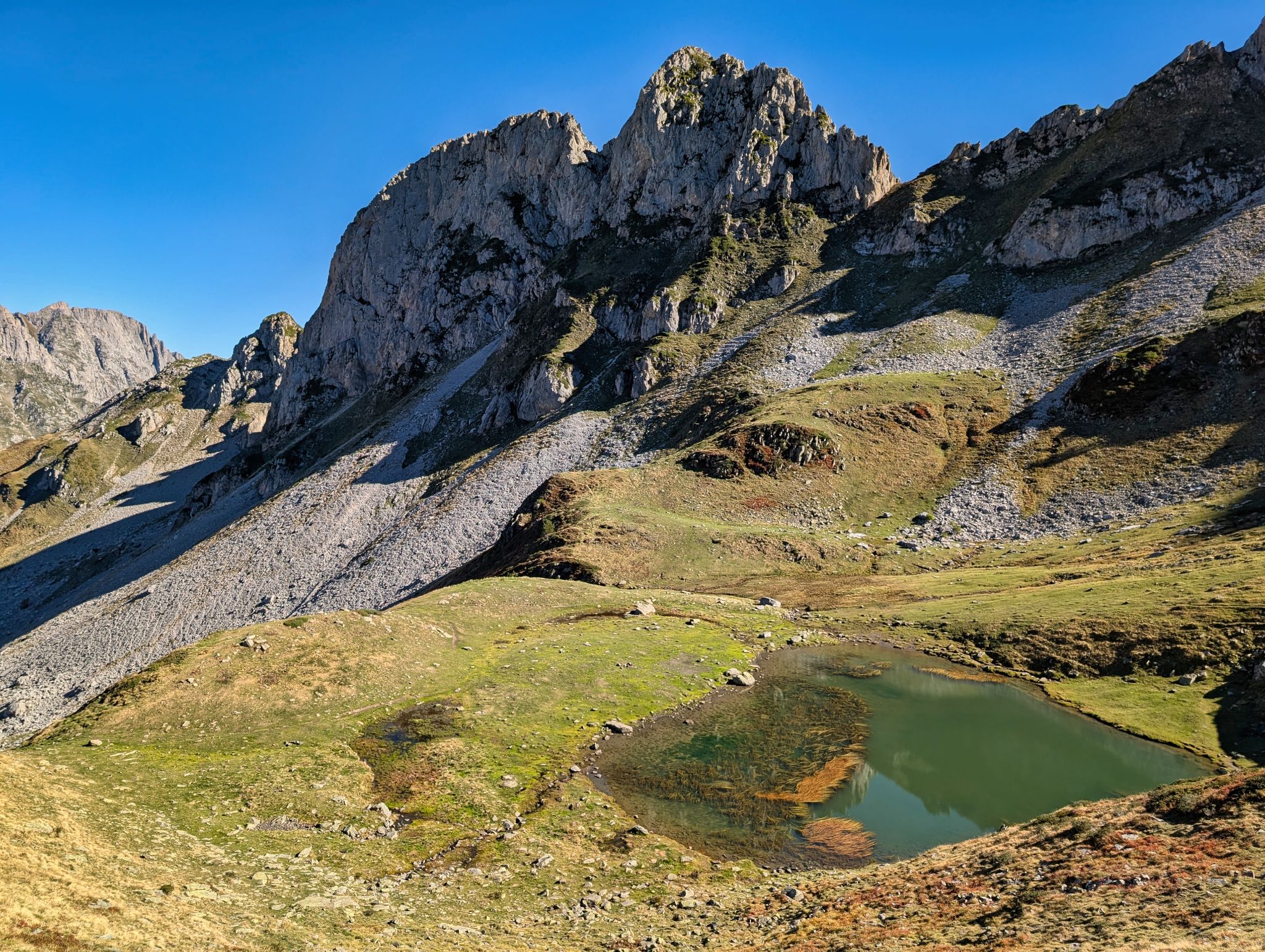 PXL 20251006 093912055