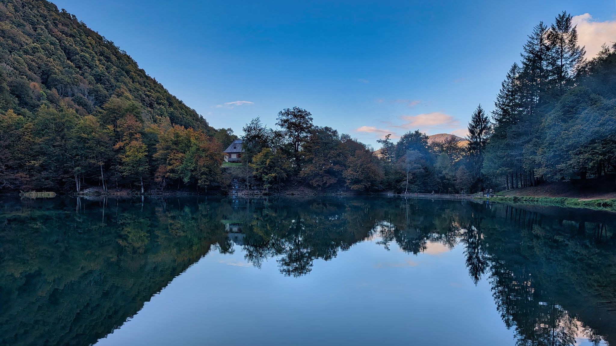 PXL 20251011 153537188