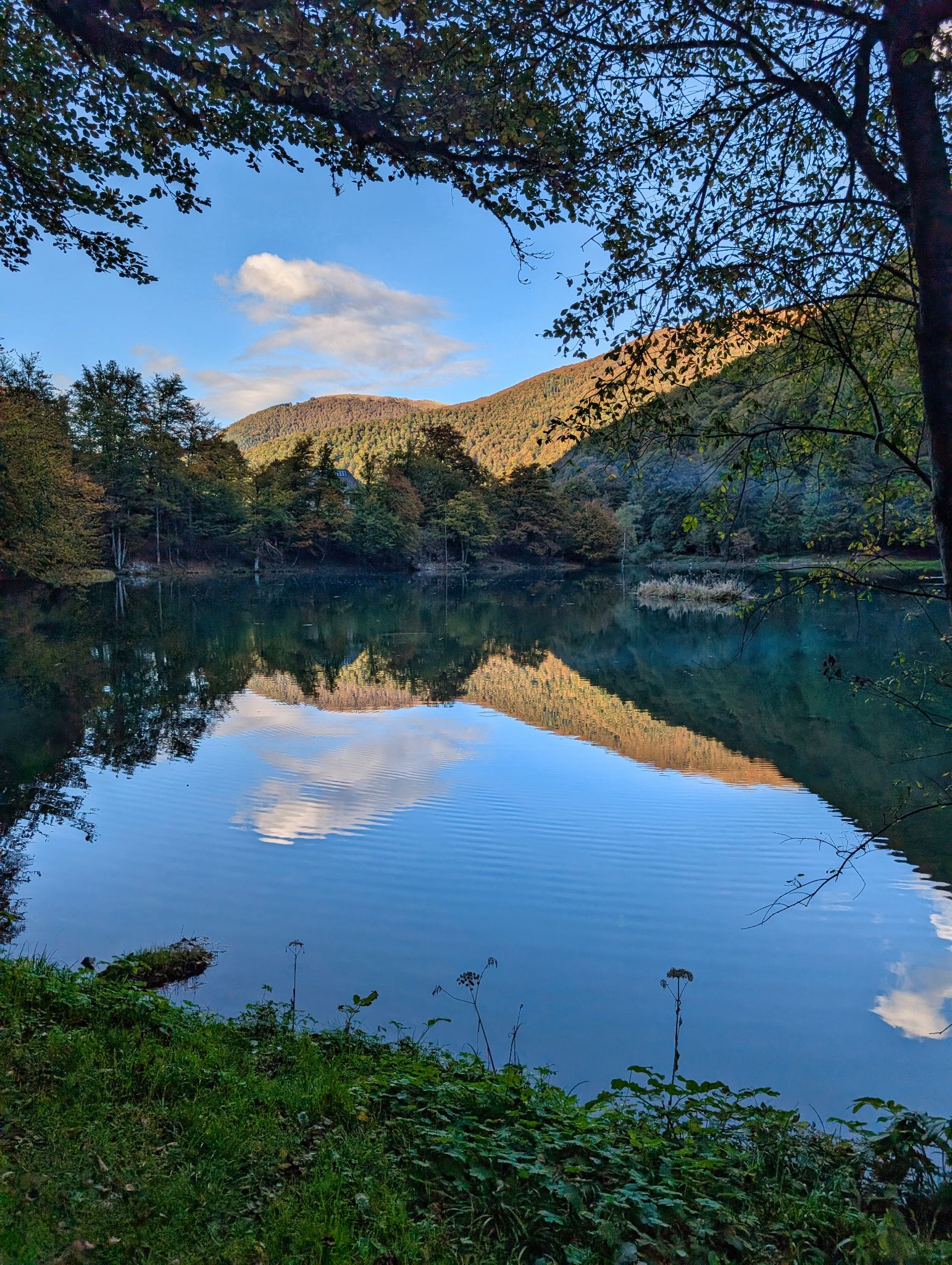 PXL 20251011 153855360