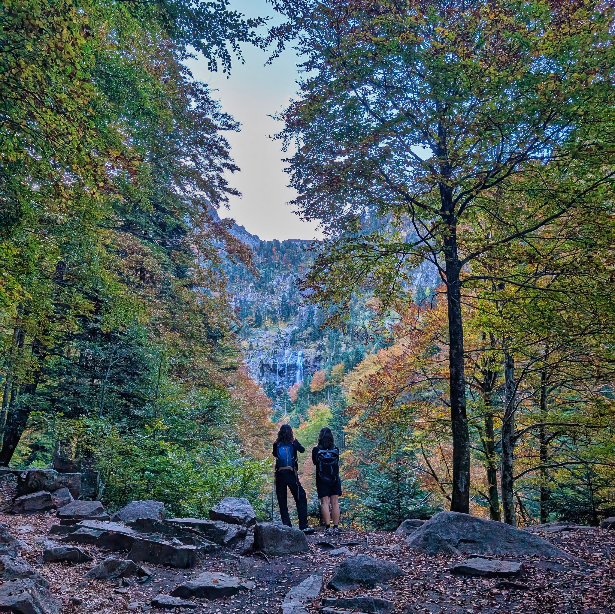 PXL 20251012 082553002