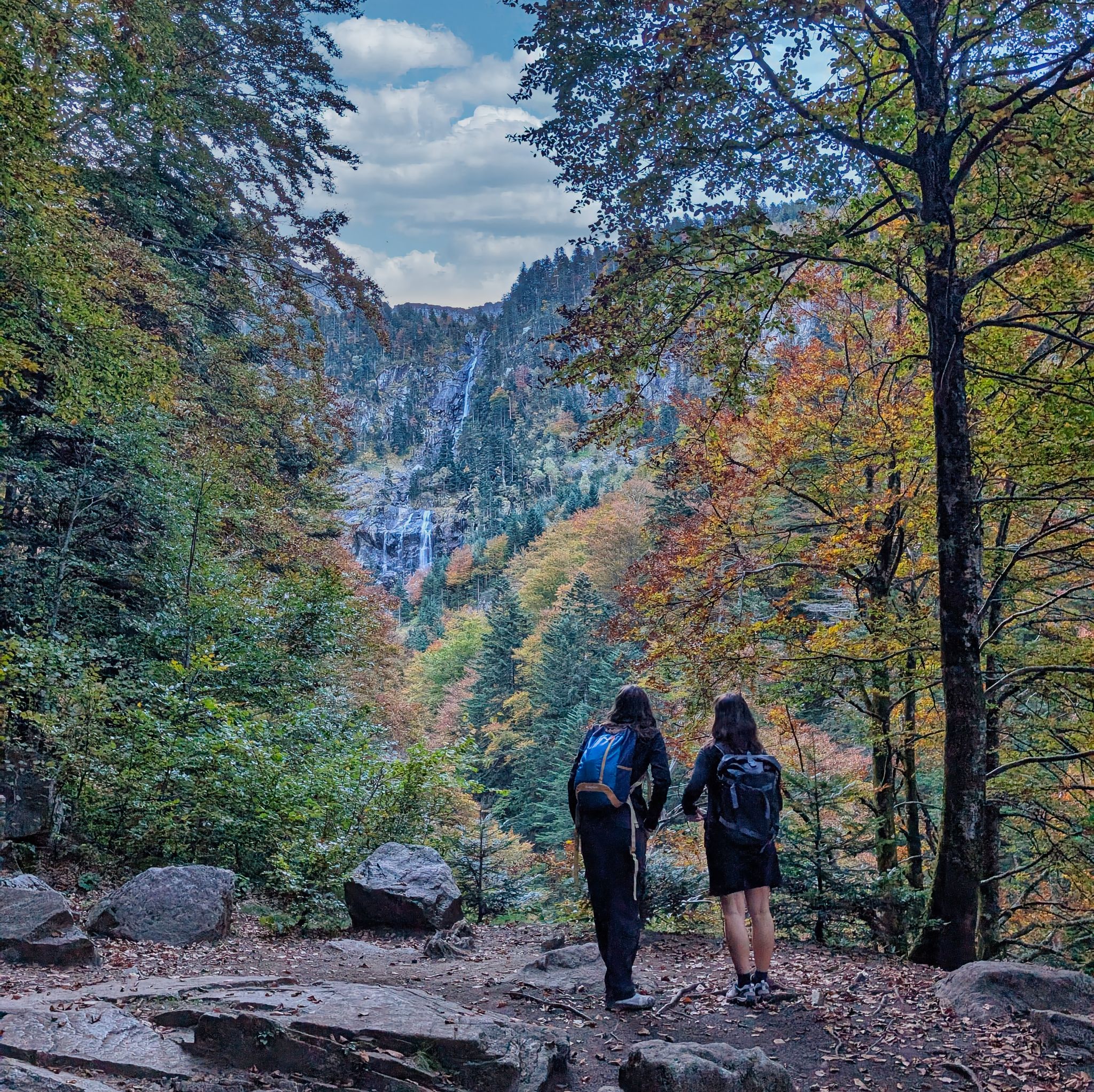 PXL 20251012 082605845