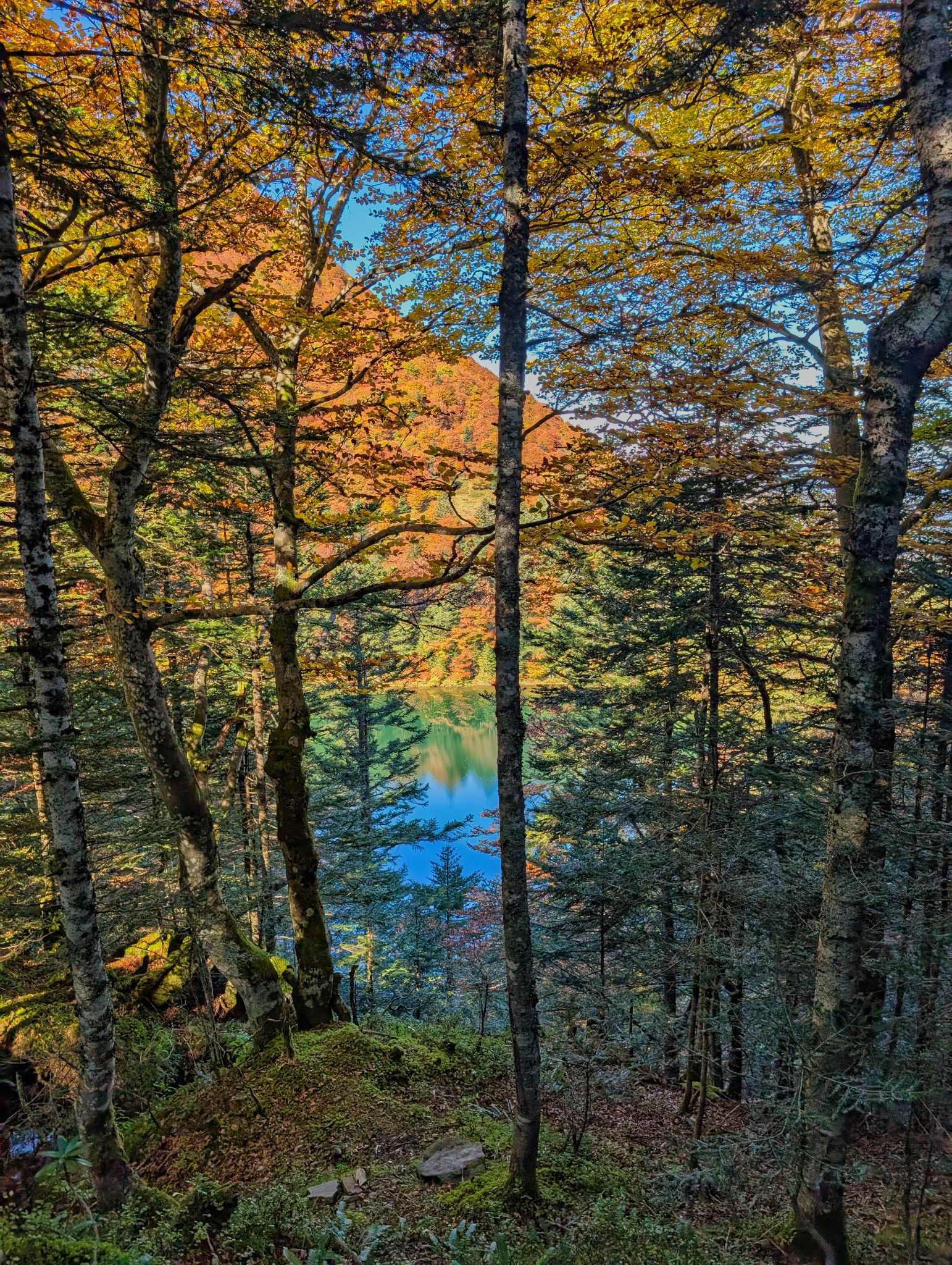 PXL 20251012 102546147