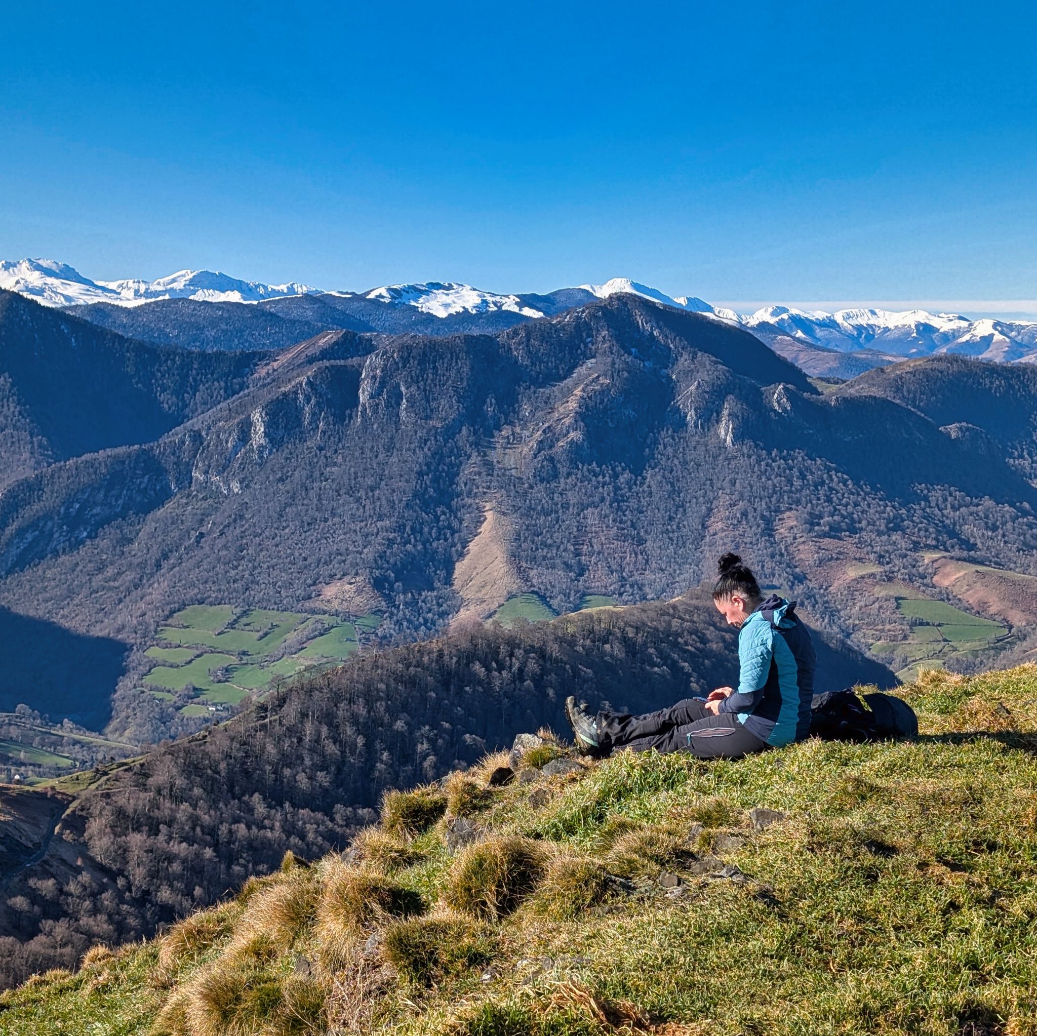 PXL 20250202 105018346