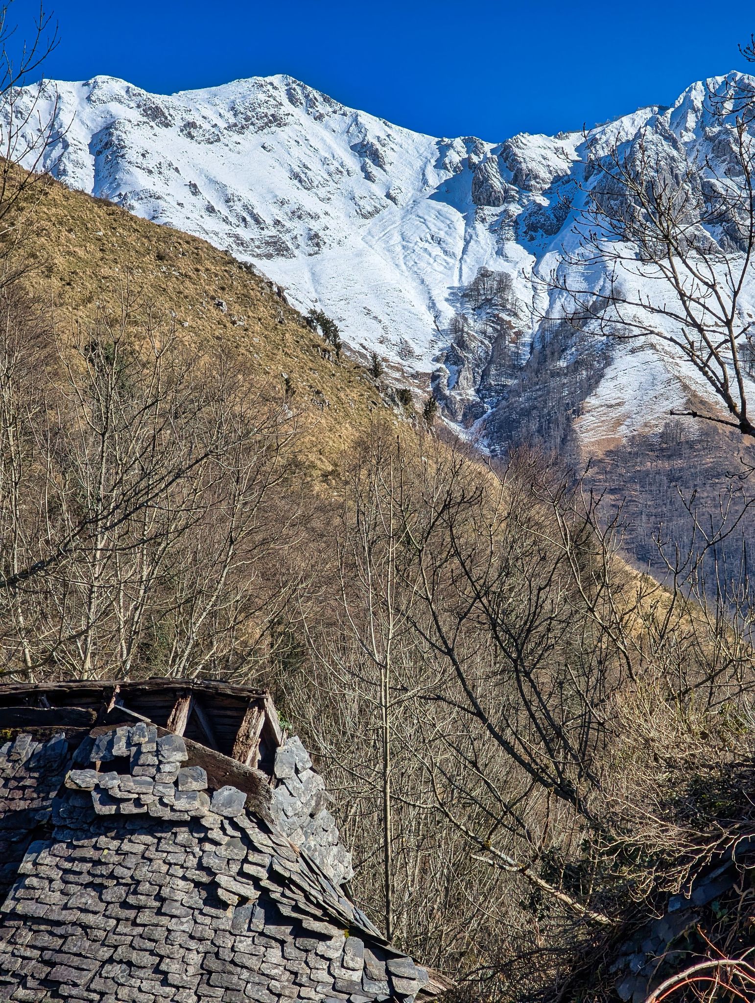 PXL 20250202 120305980