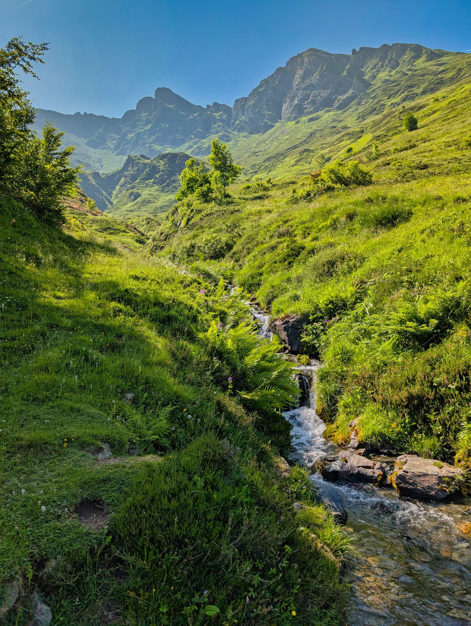 PXL 20250616 150200114