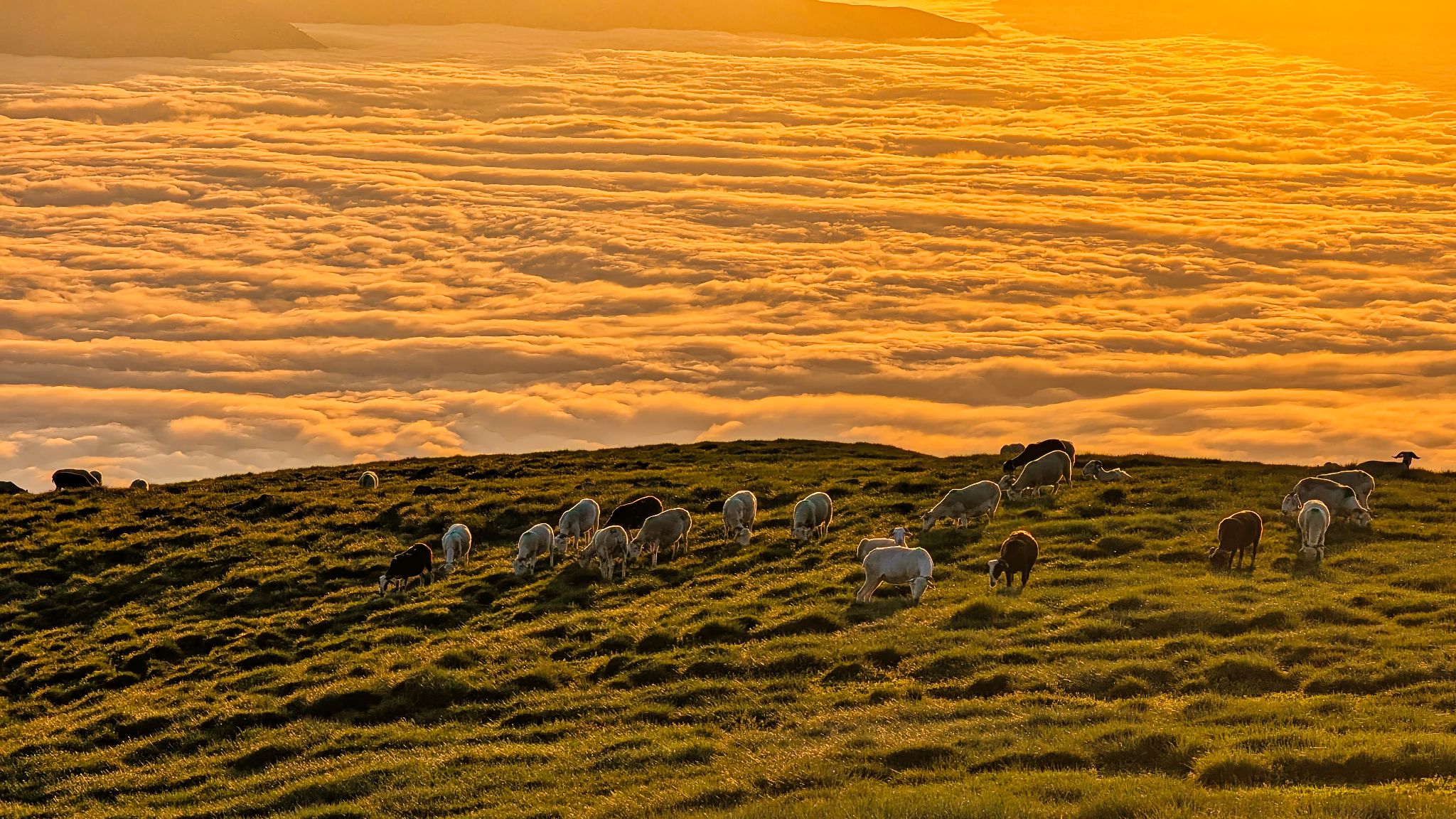 PXL 20250616 192025997