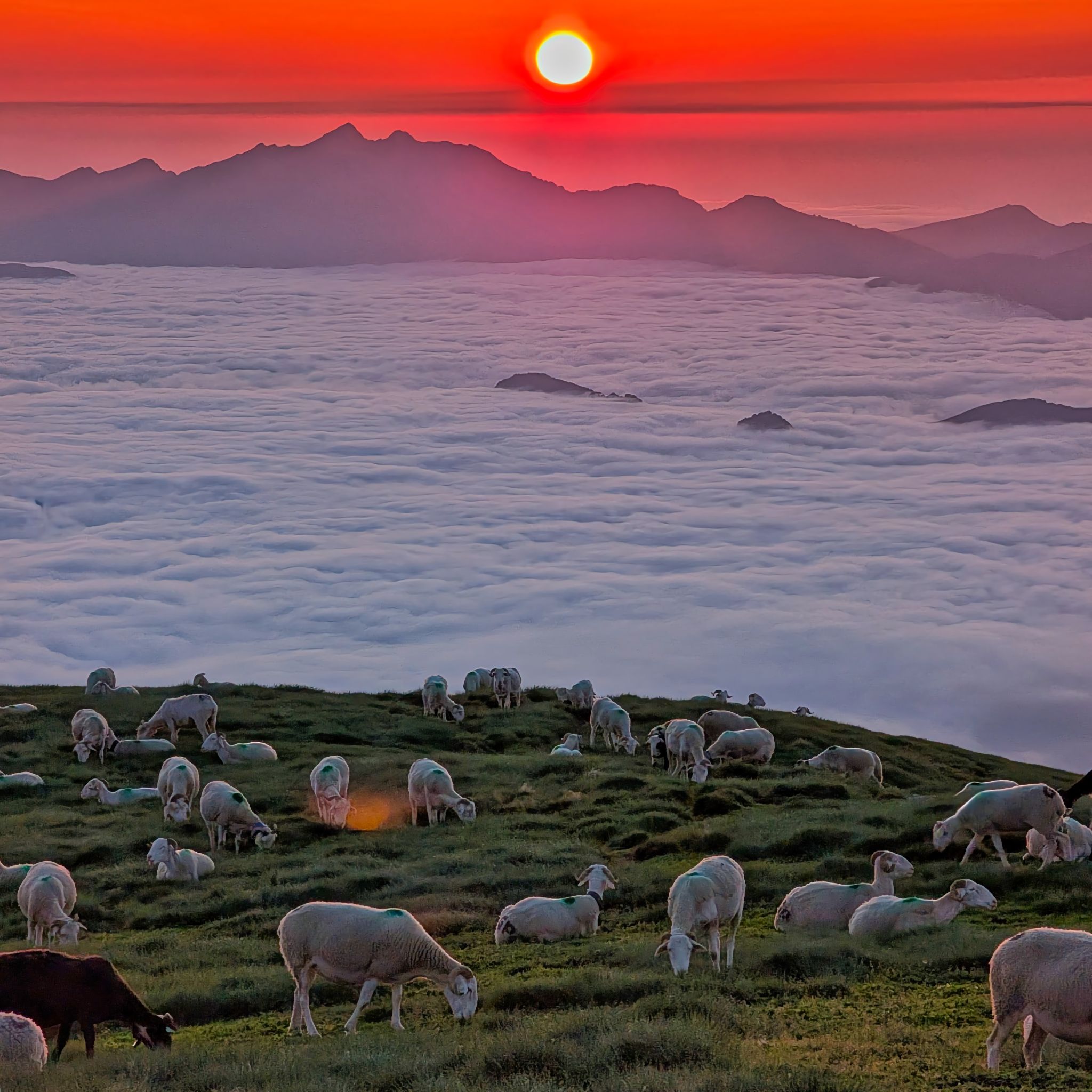 PXL 20250616 194035081