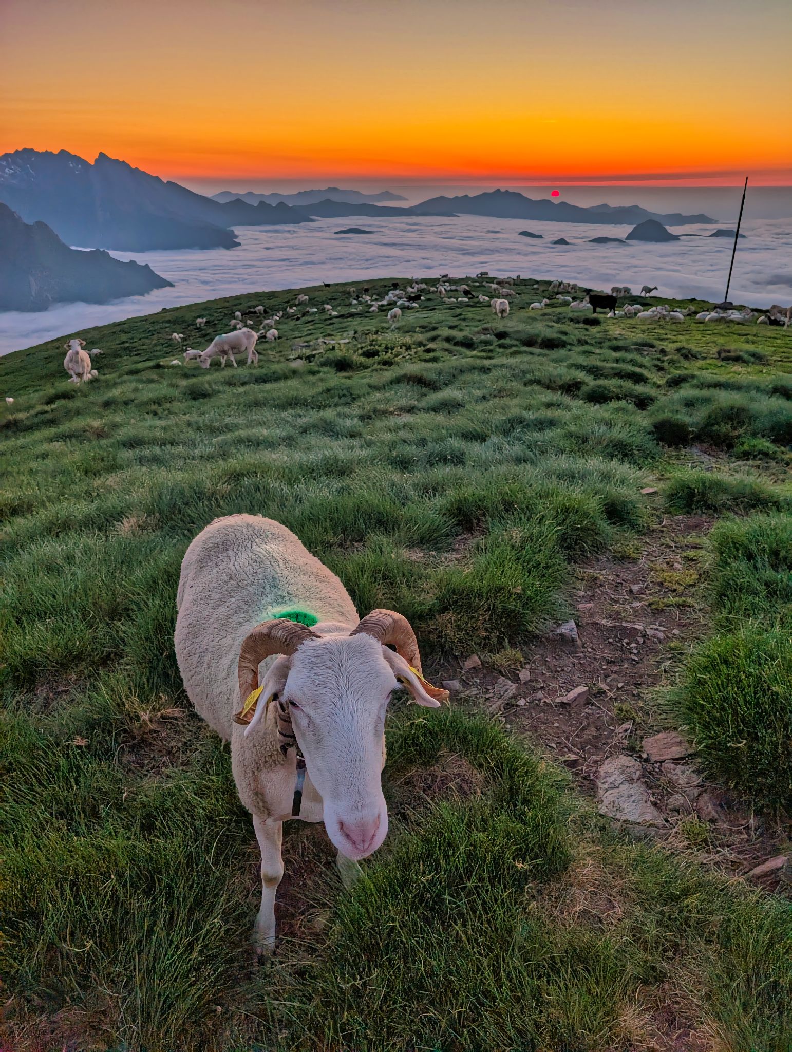 PXL 20250616 194913784.MP