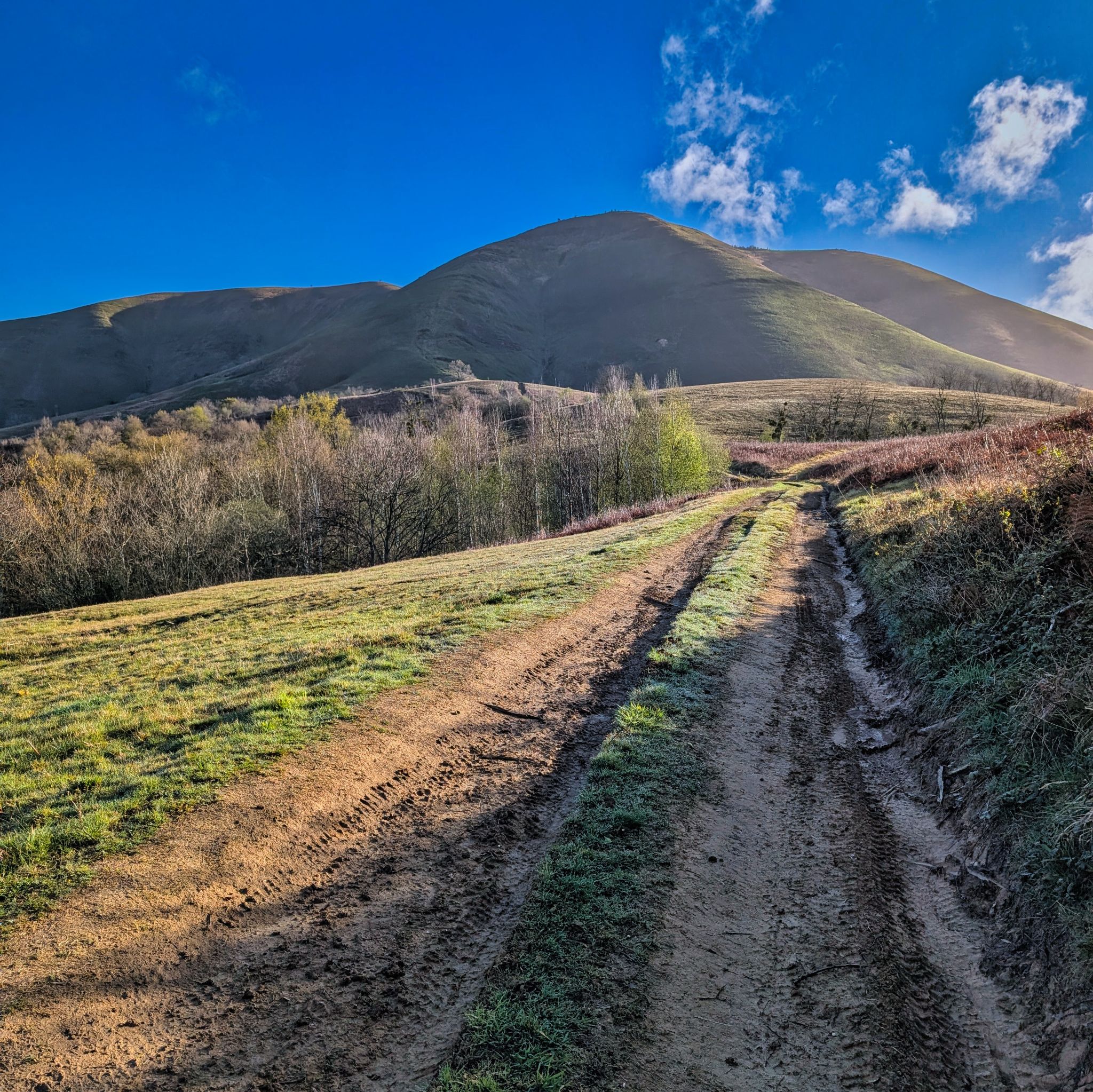 PXL 20250330 072336063