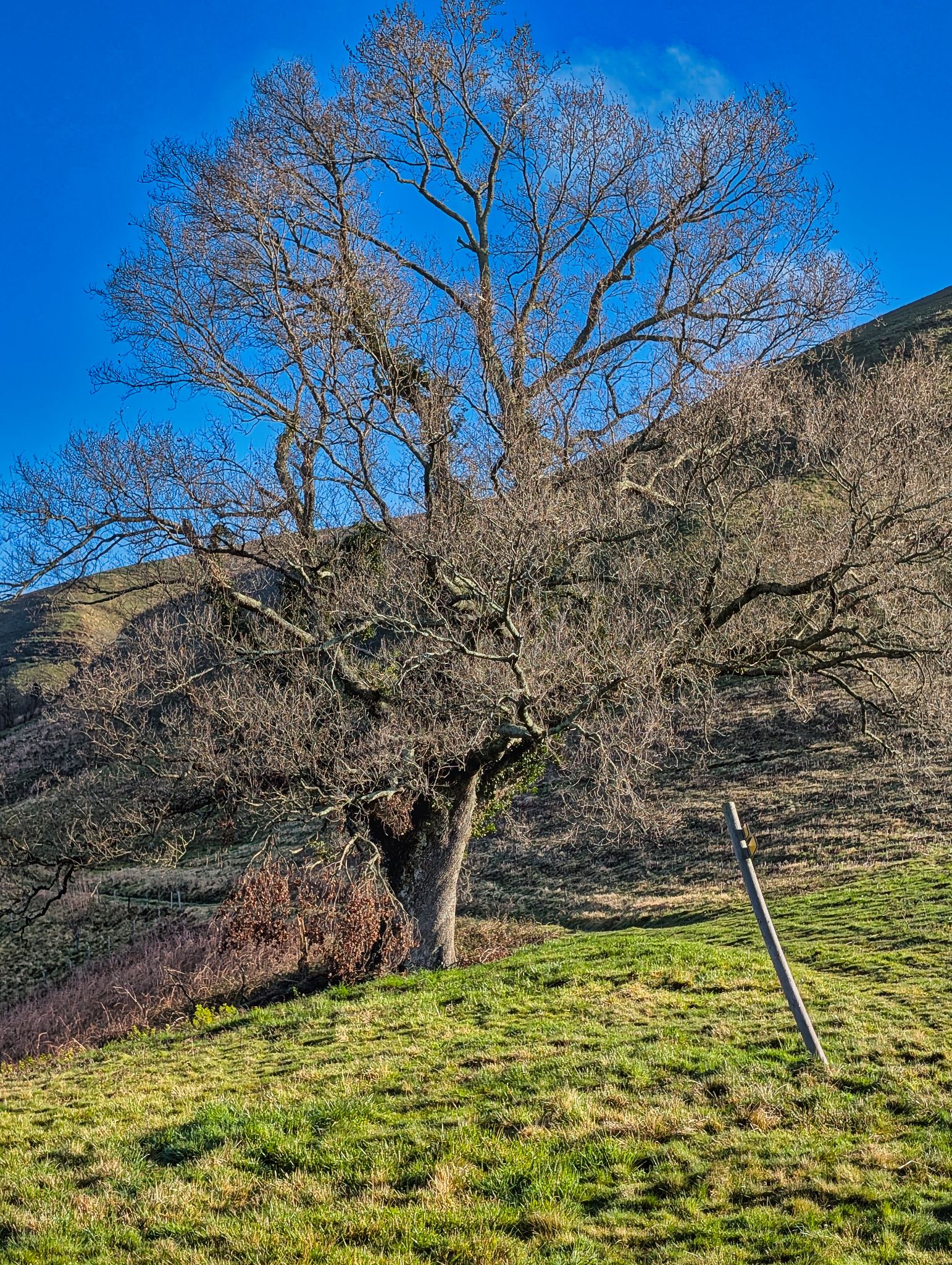 PXL 20250330 073451821