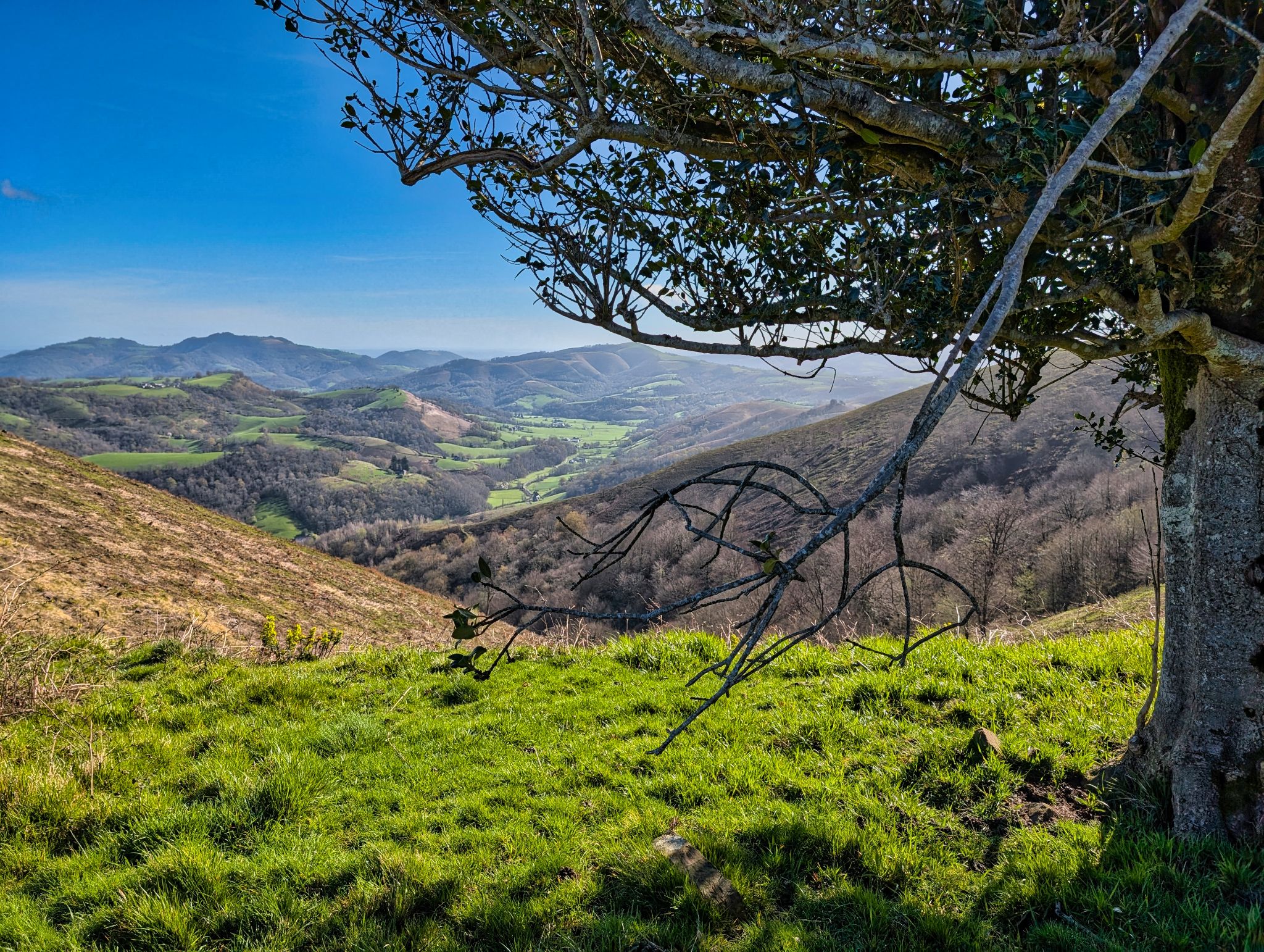 PXL 20250330 084135541