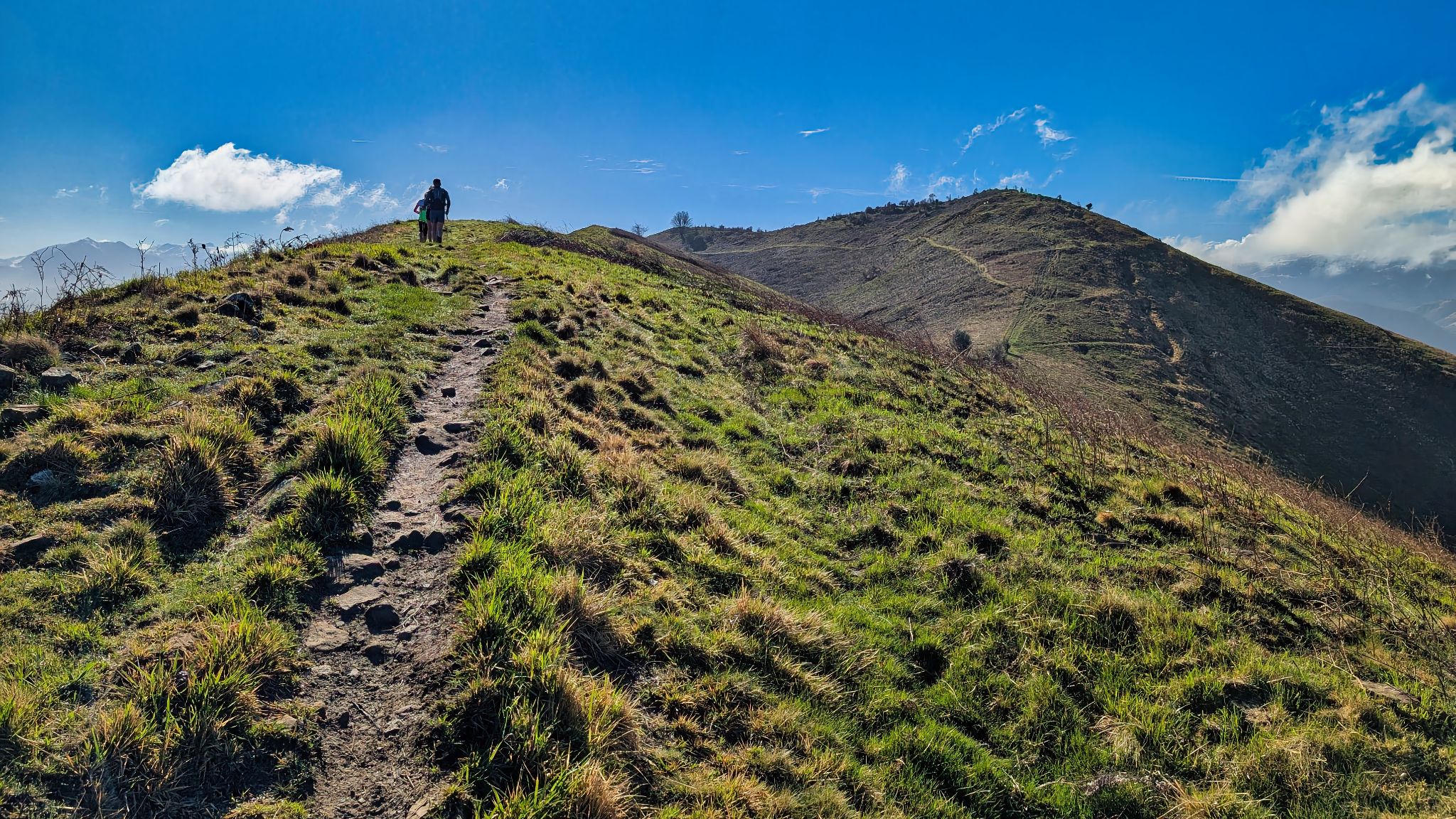 PXL 20250330 084924764