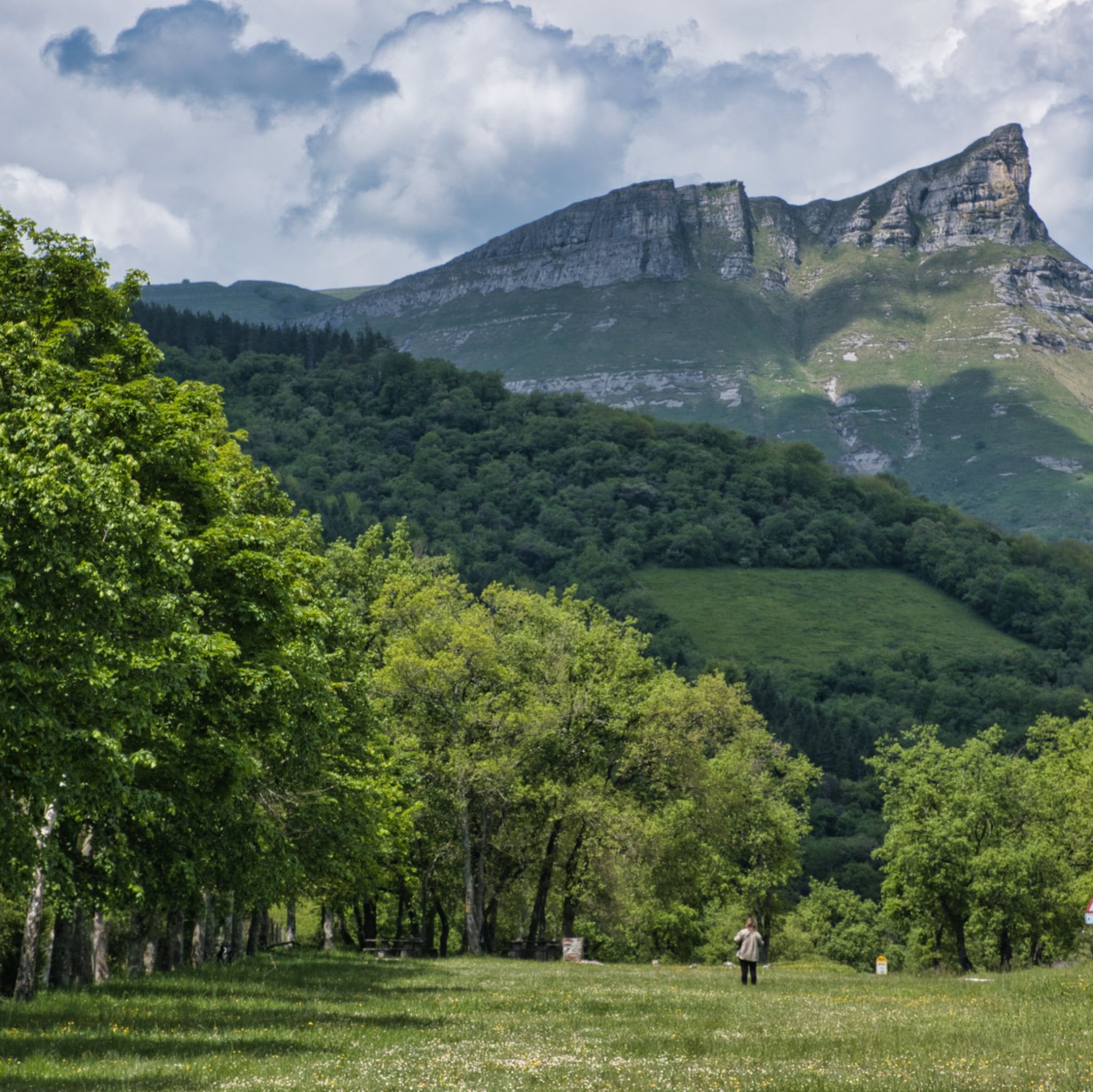 Gorobel-Salbada & salto del Nervion