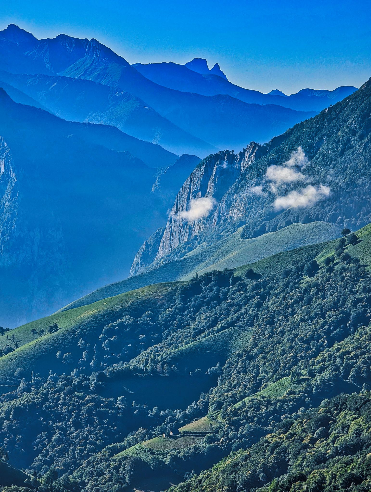 PXL 20250709 065758618