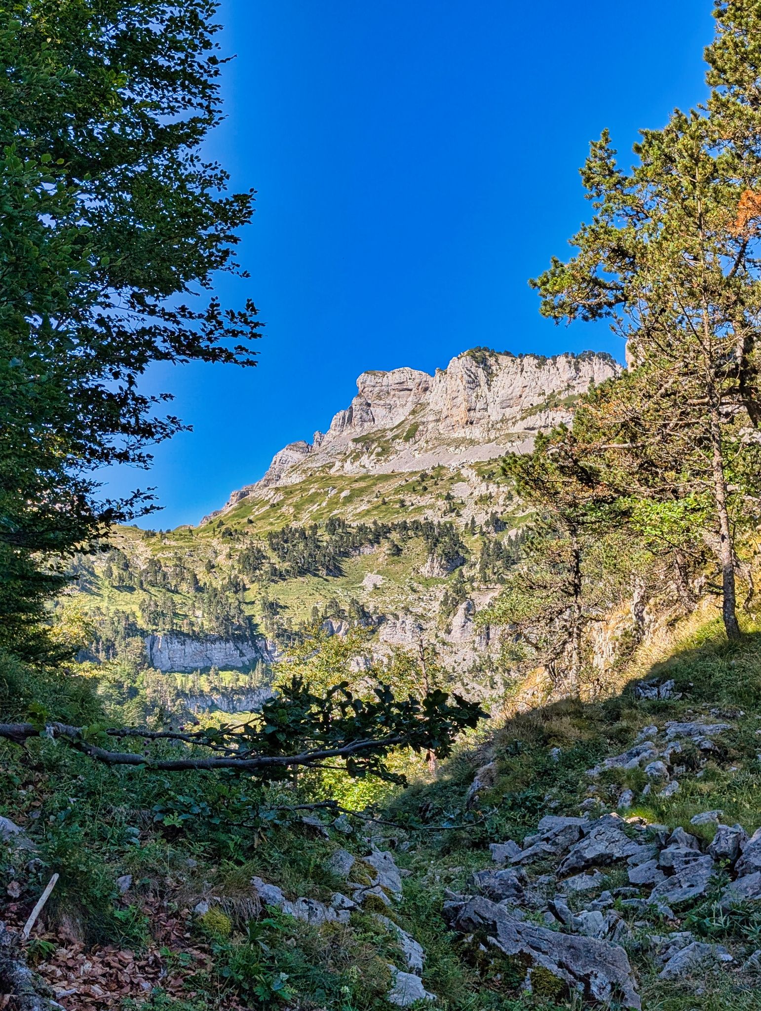 PXL 20250709 083603504