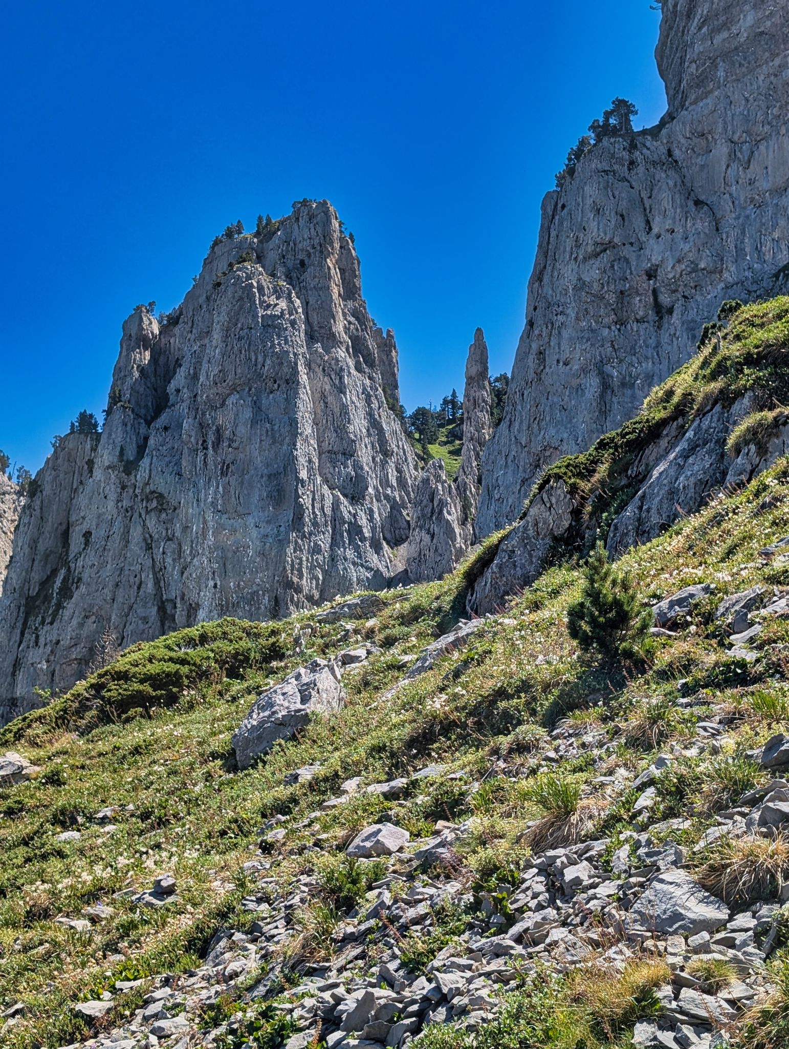 PXL 20250709 103112989