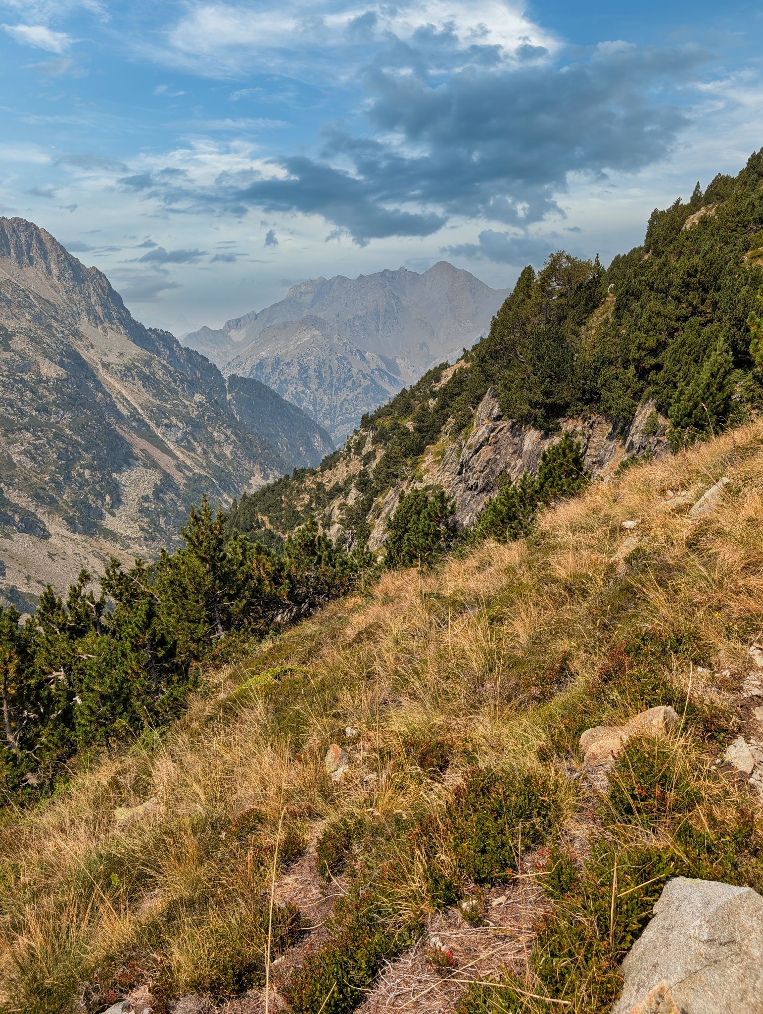 PXL 20250815 102320393.NIGHT