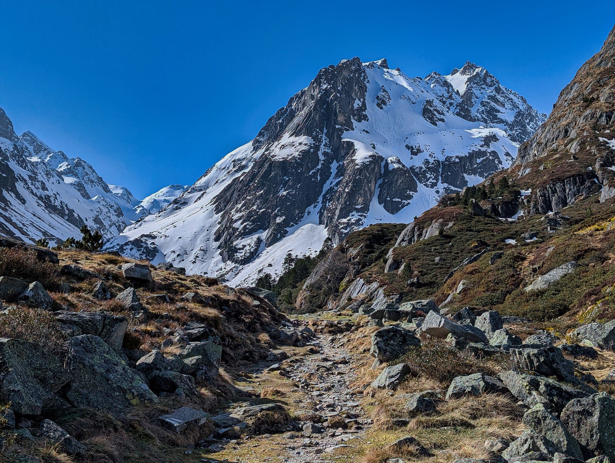 PXL 20250406 084851351