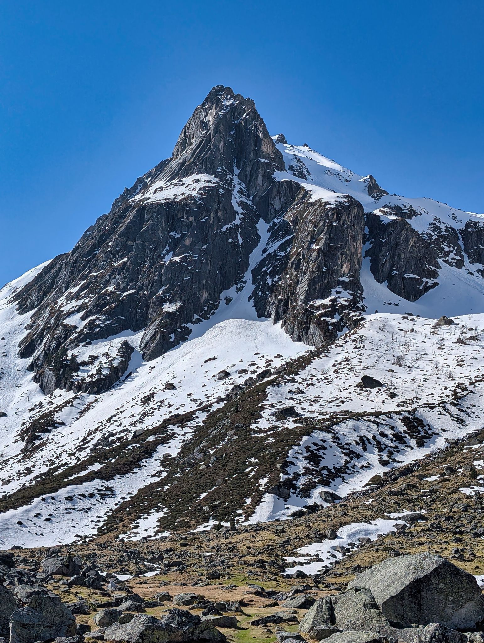 PXL 20250406 090943980