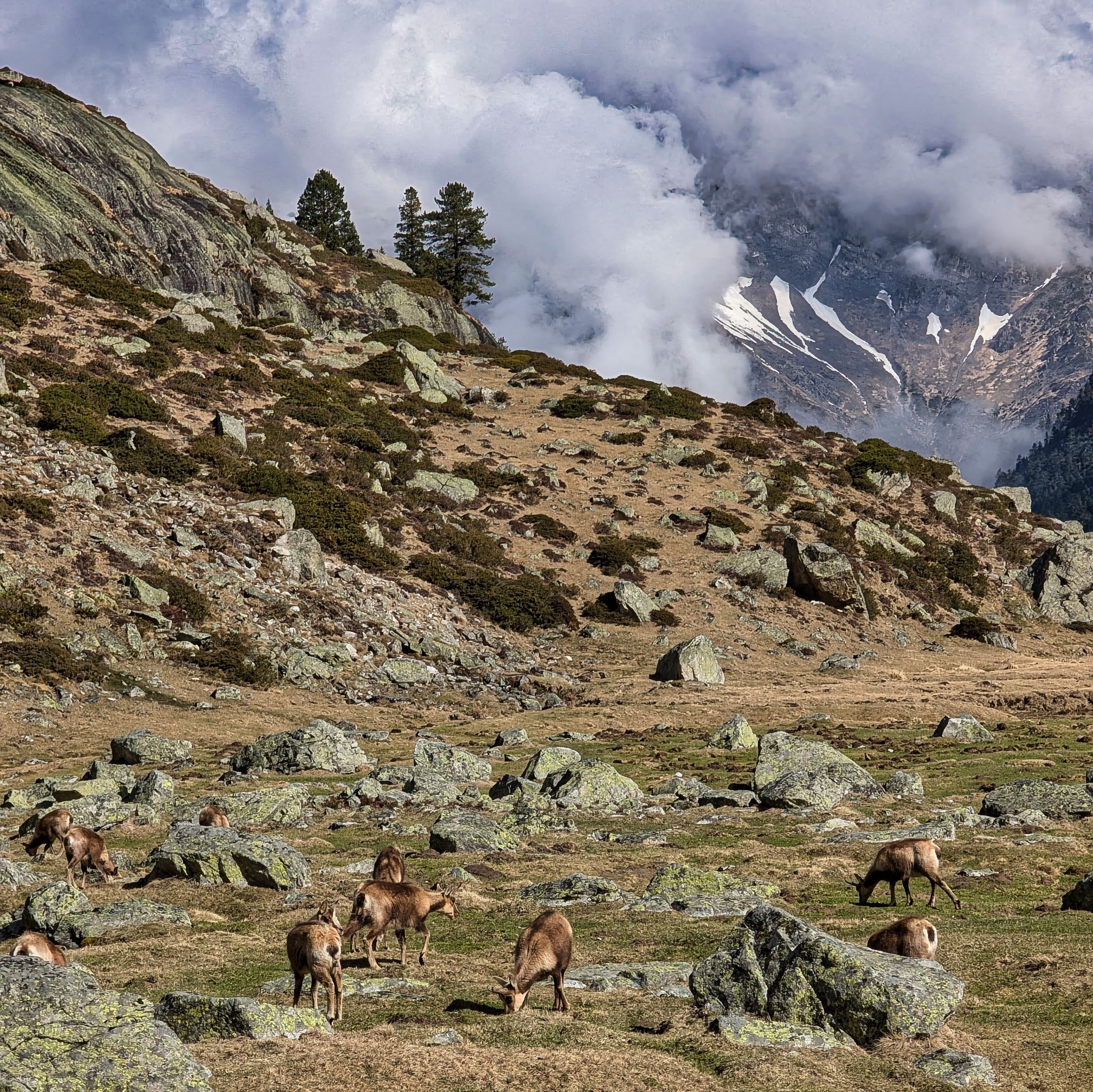 PXL 20250406 091101020