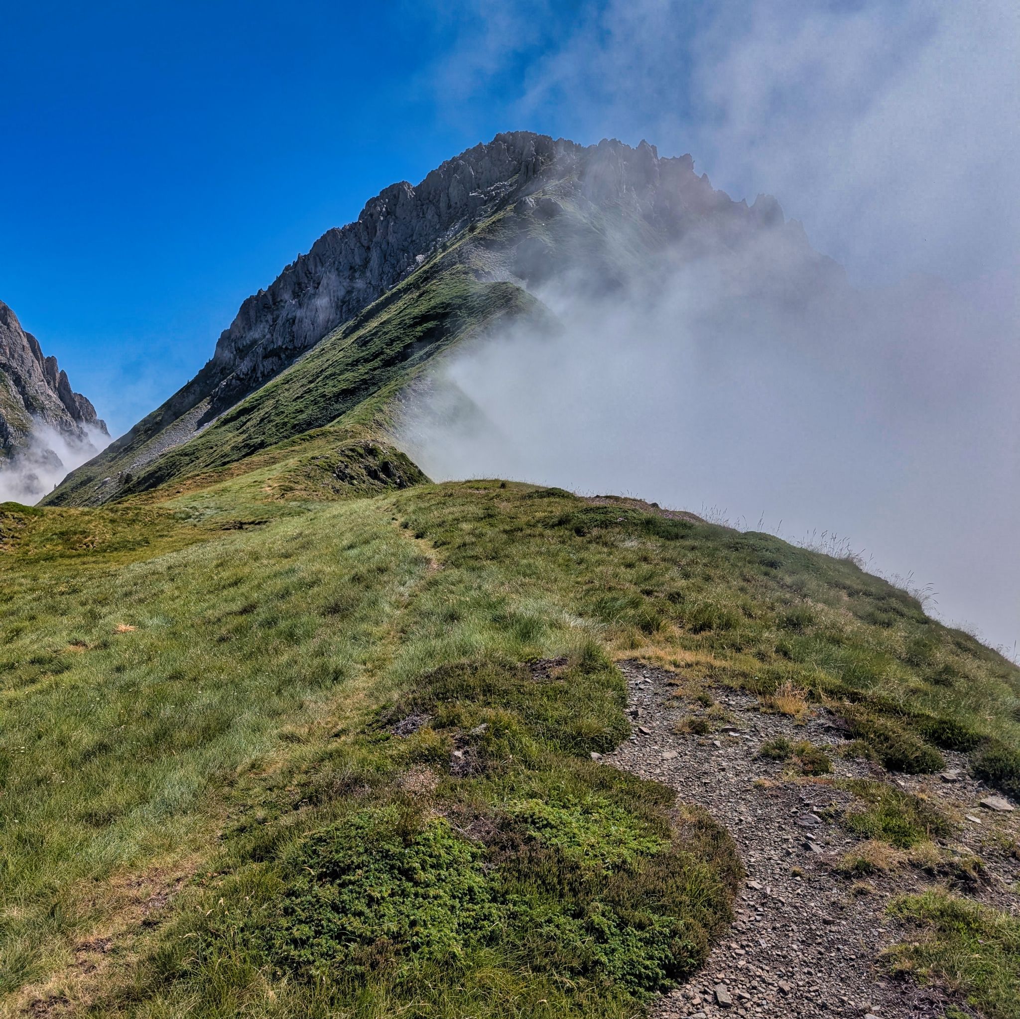 PXL 20250708 091746371